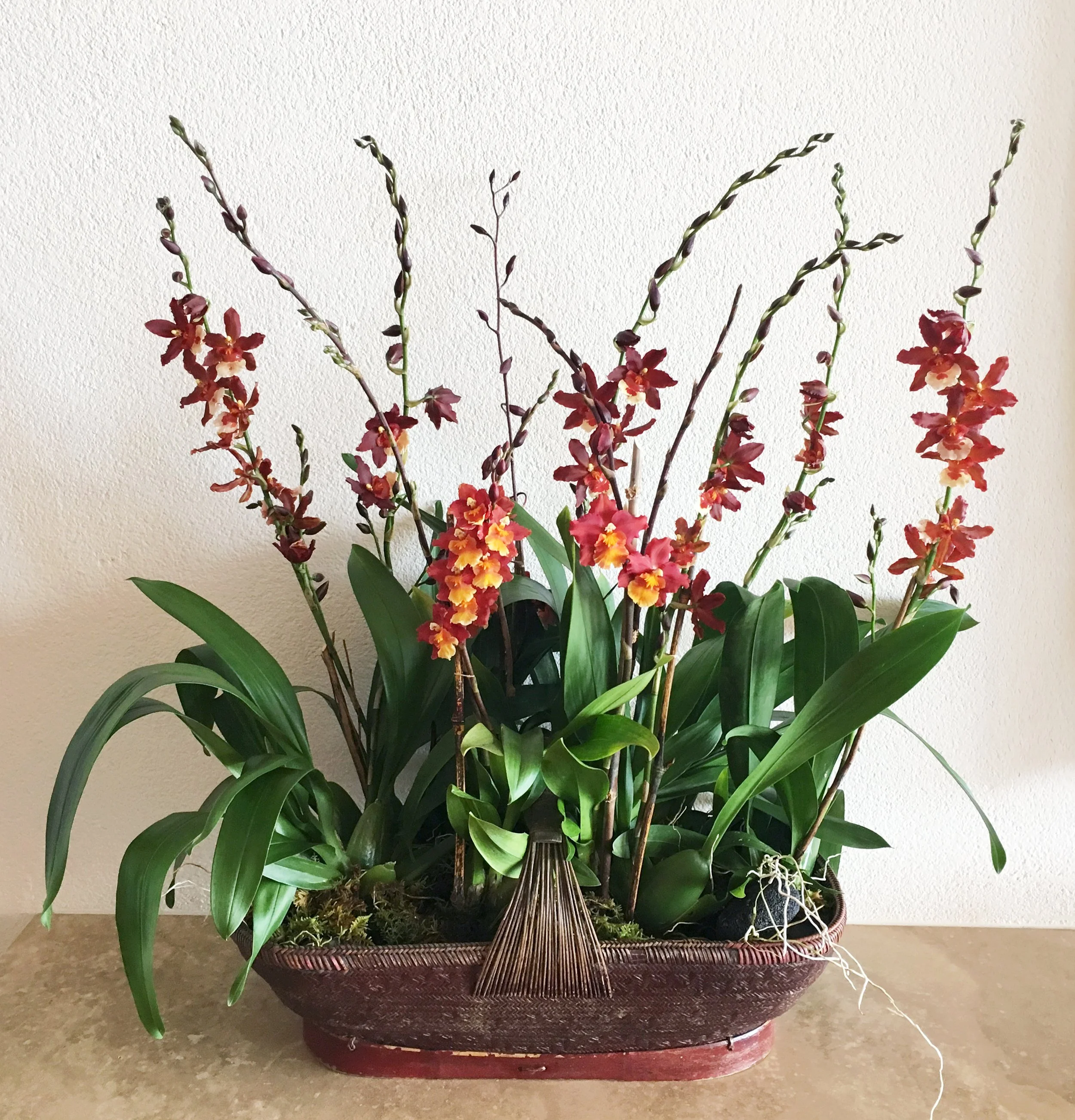 A large decorative orchid arrangement in upscale home on the Kona coast.