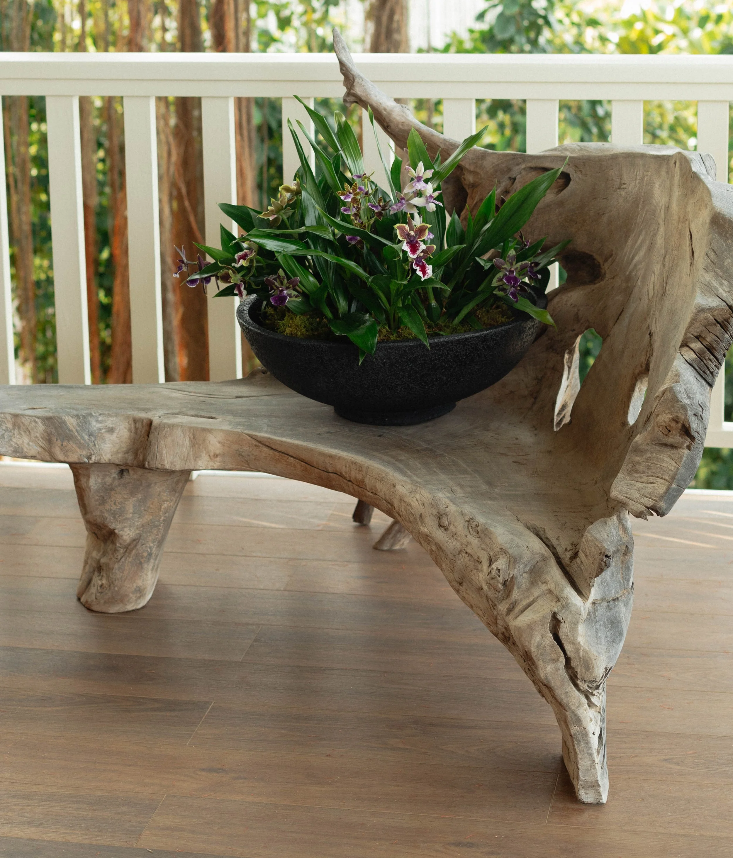 A rustic wooden seat with a curved shape, supporting a custom potted orchid design, set against a background of trees and greenery.
