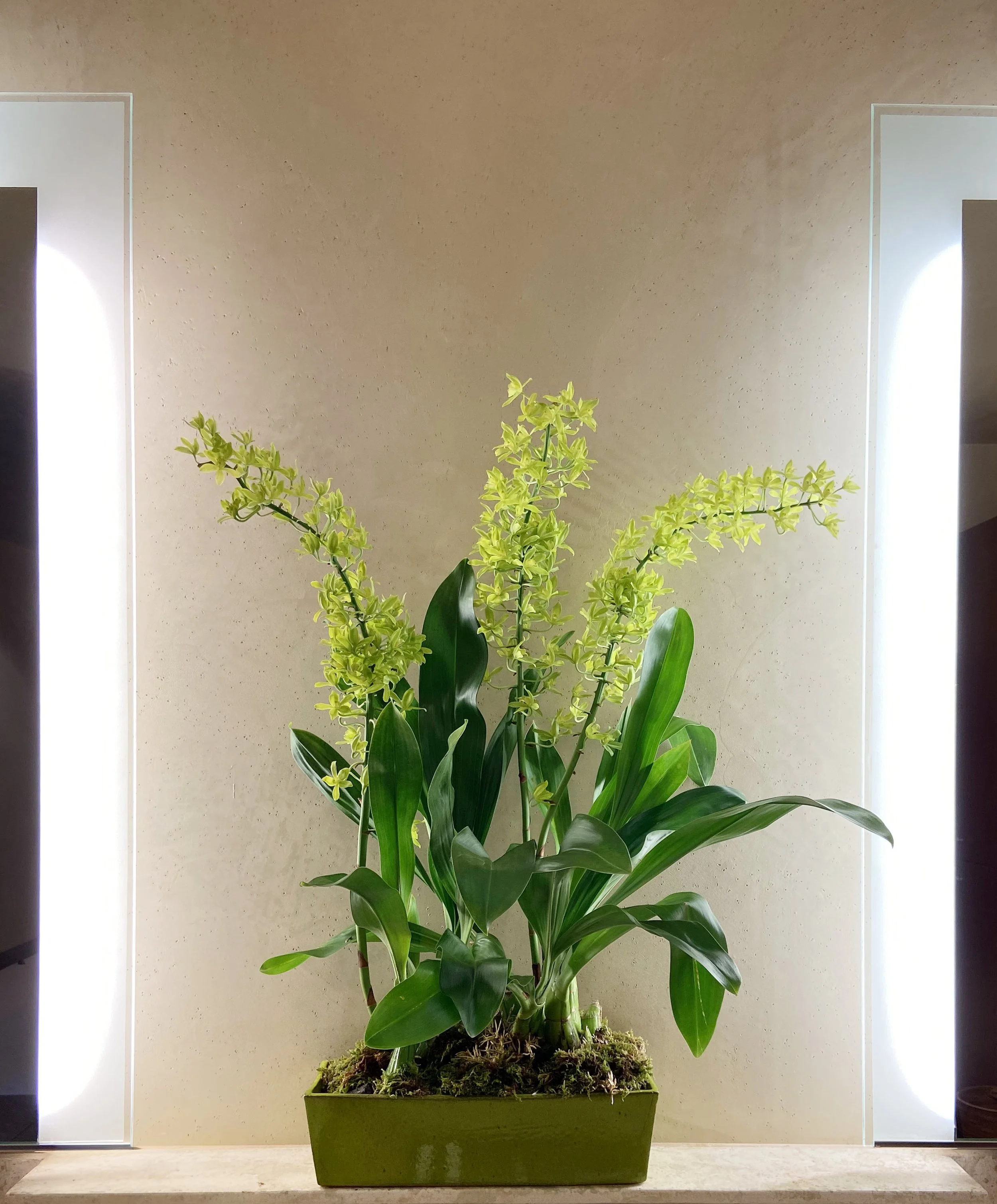Custom grammatophyllum orchid design in upscale private residence.