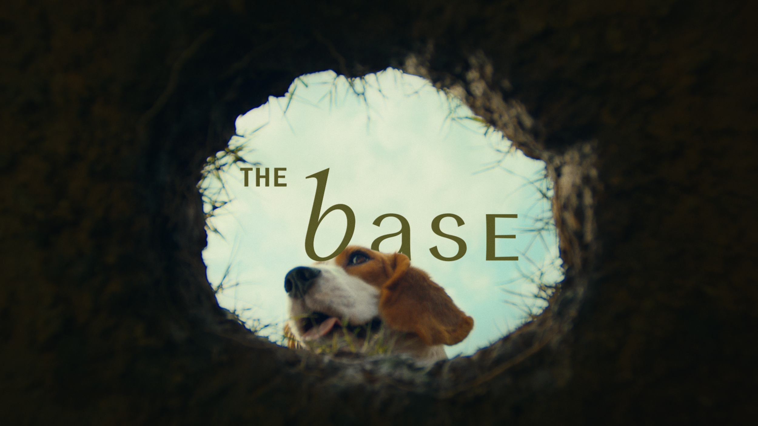 THE BASE - UNIQUELY YOUR