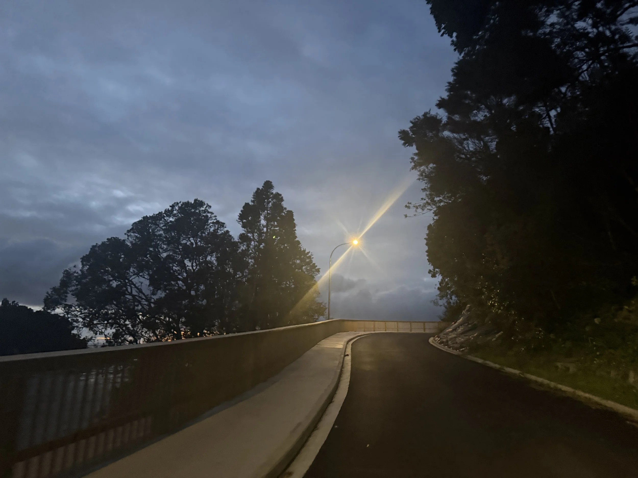 Advocacy is top of agenda for Titirangi Business Association
