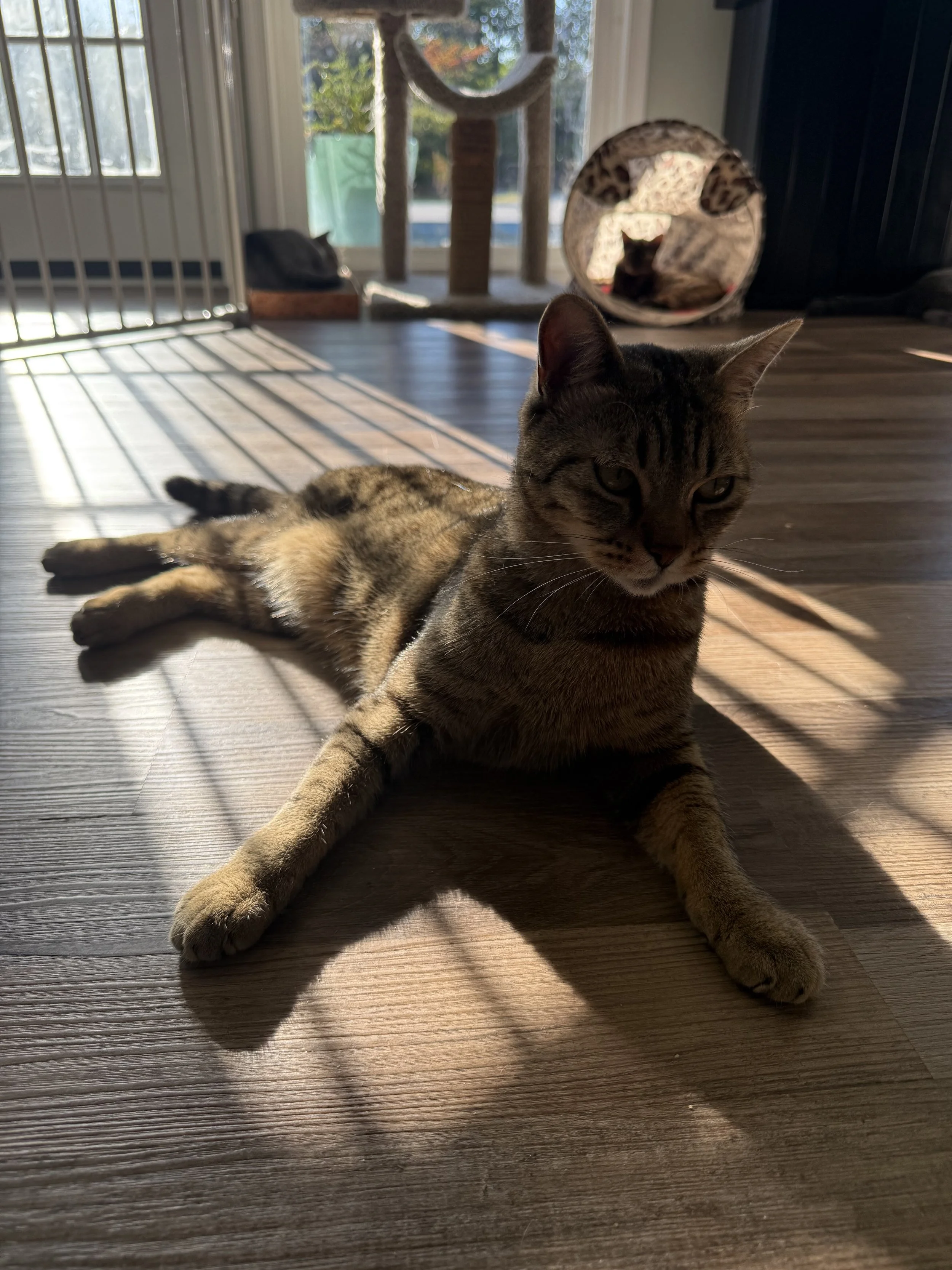 IMG_8571.jpeg