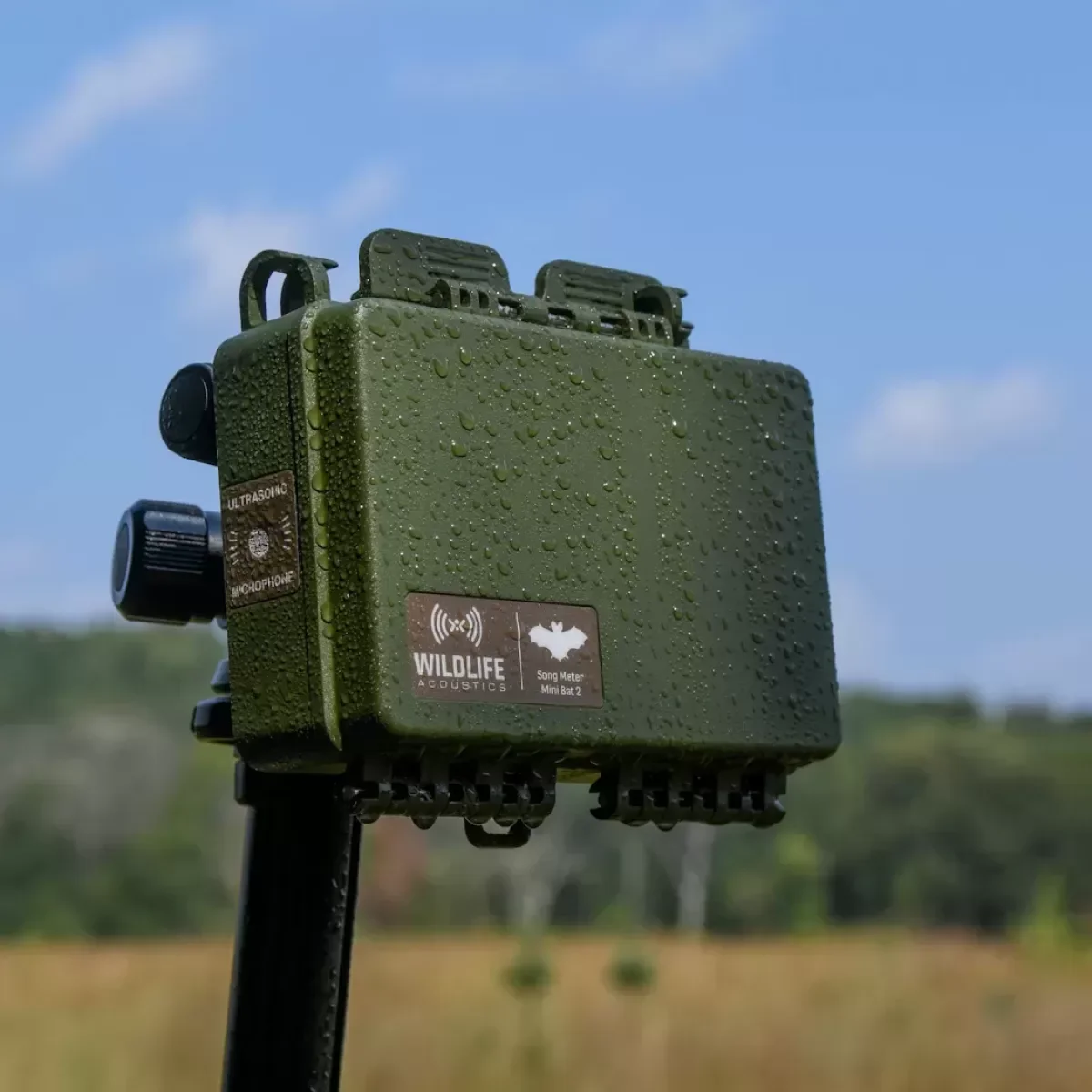 SONG METER MINI BAT 2 ULTRASONIC RECORDER ALKALINE