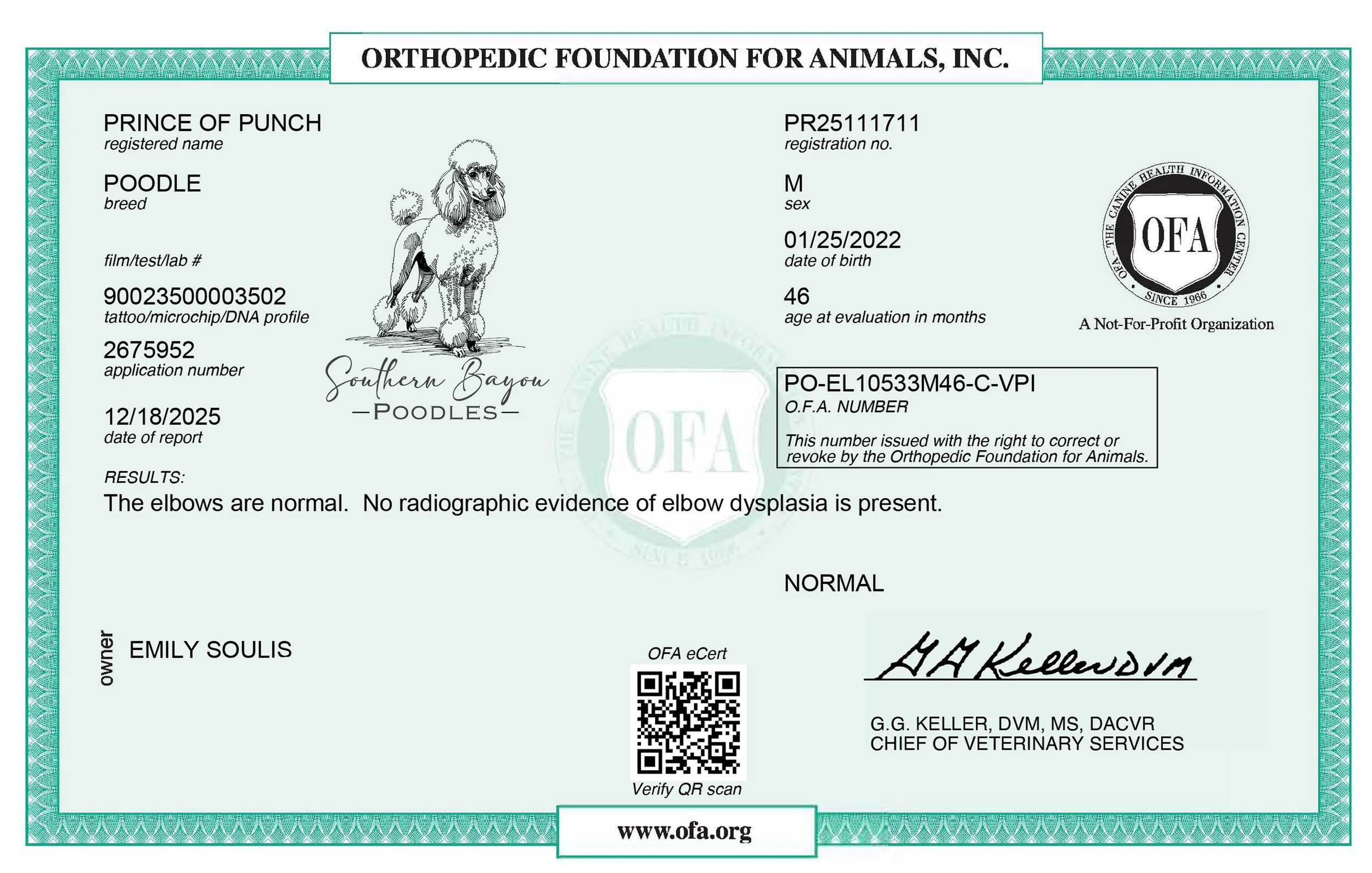 CREED OFA ELBOWS.jpg