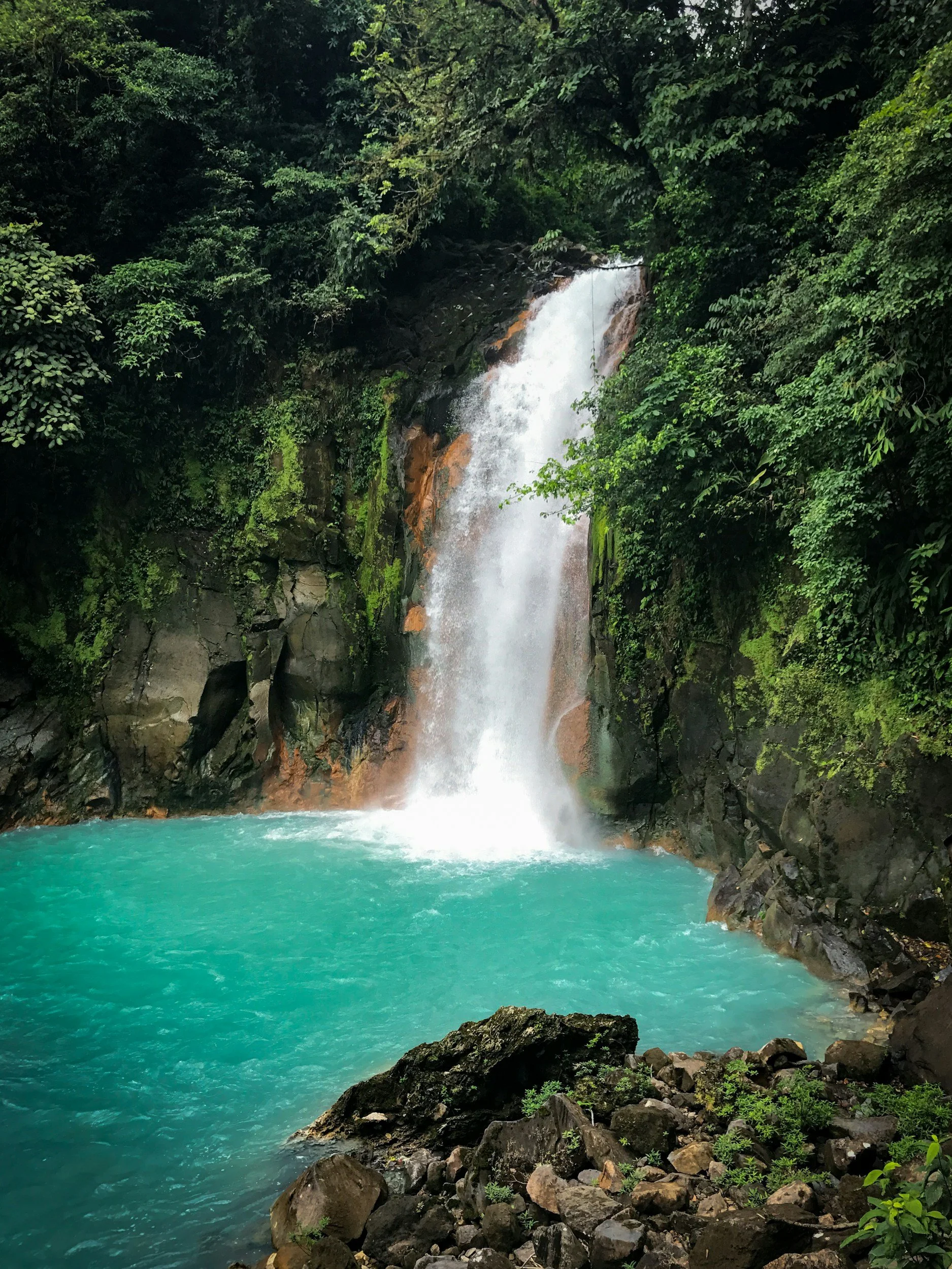 Cascada en medio de un bosque con agua turquoise, rodeada de rocas y vegetación verde.