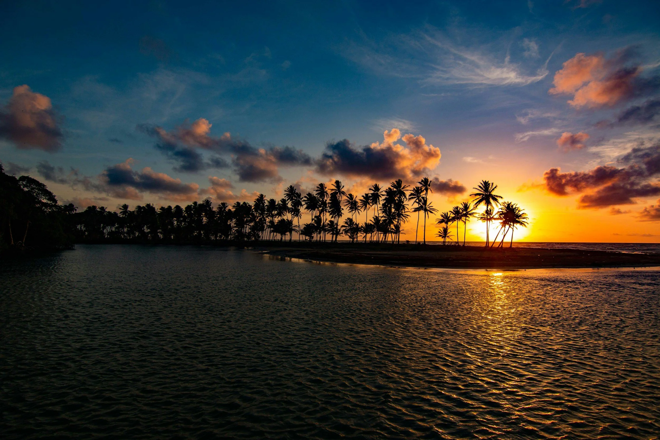 Sunset over a tropical beach with silhouettes of palm trees and calm water.