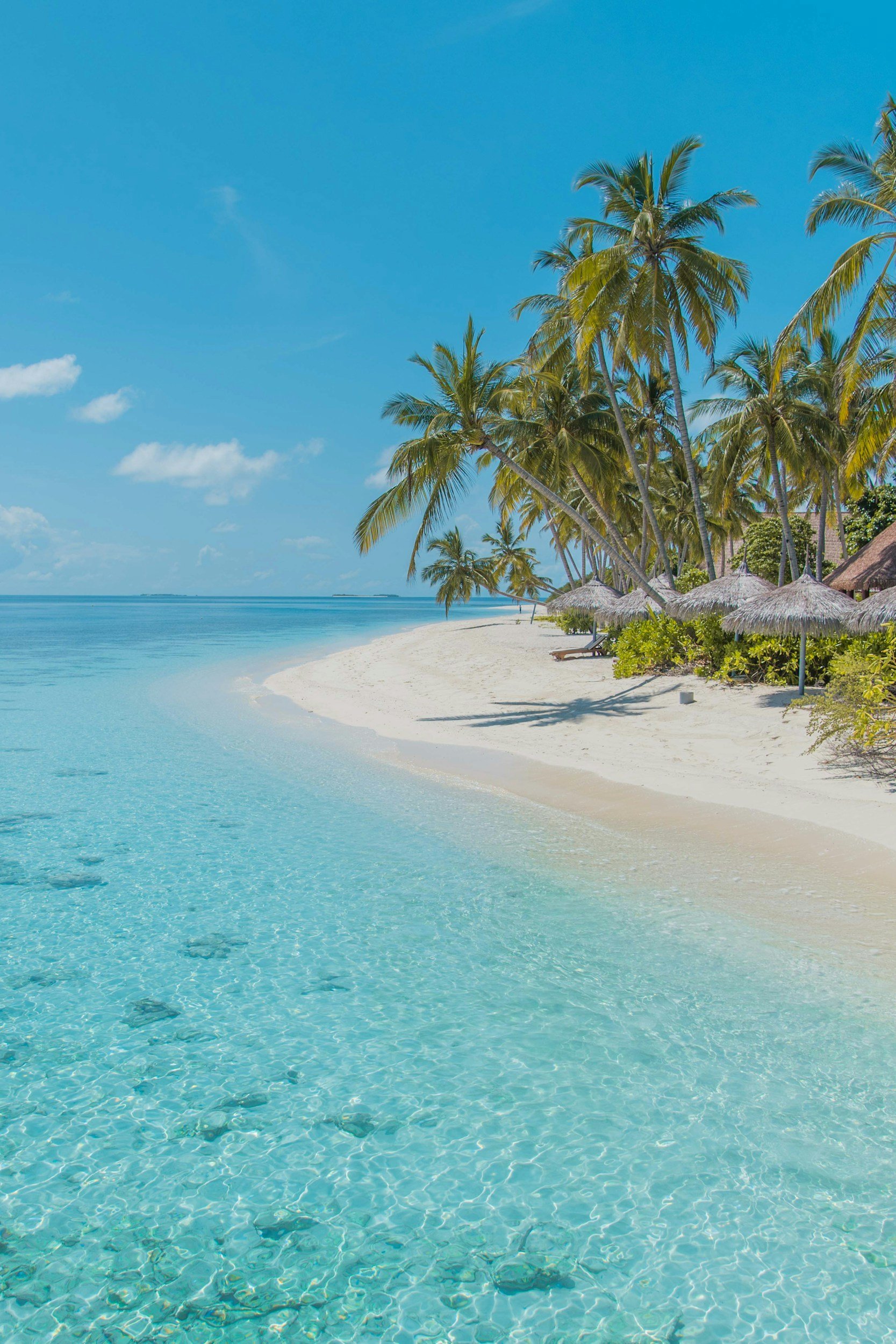 Tropical beach with clear blue water, white sand, palm trees, and thatched umbrellas under a bright blue sky.