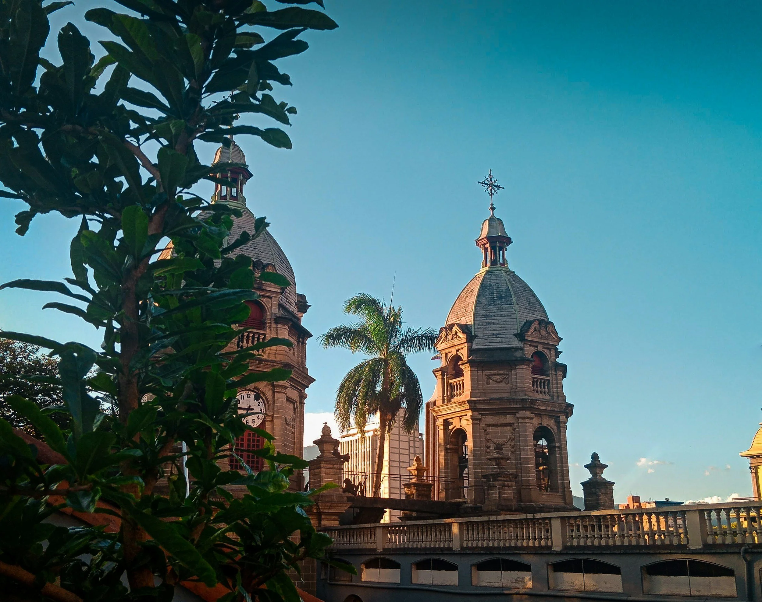 Historic church with two bell towers and a cross on top, palm trees in the background, and a leafy tree in the foreground, under a clear blue sky.