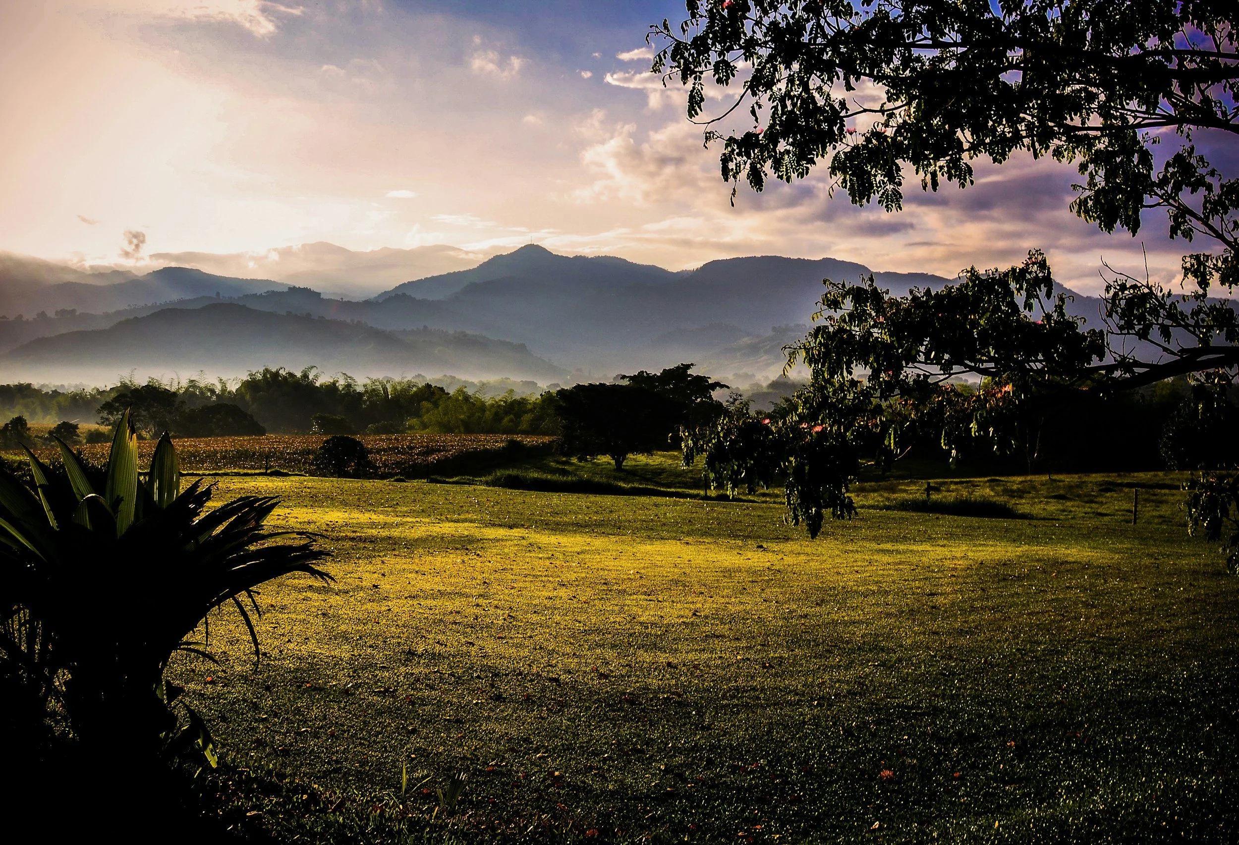 Sunrise over a green grassy field with trees and mountains in the background, some mist in the distance, and clouds in the sky.