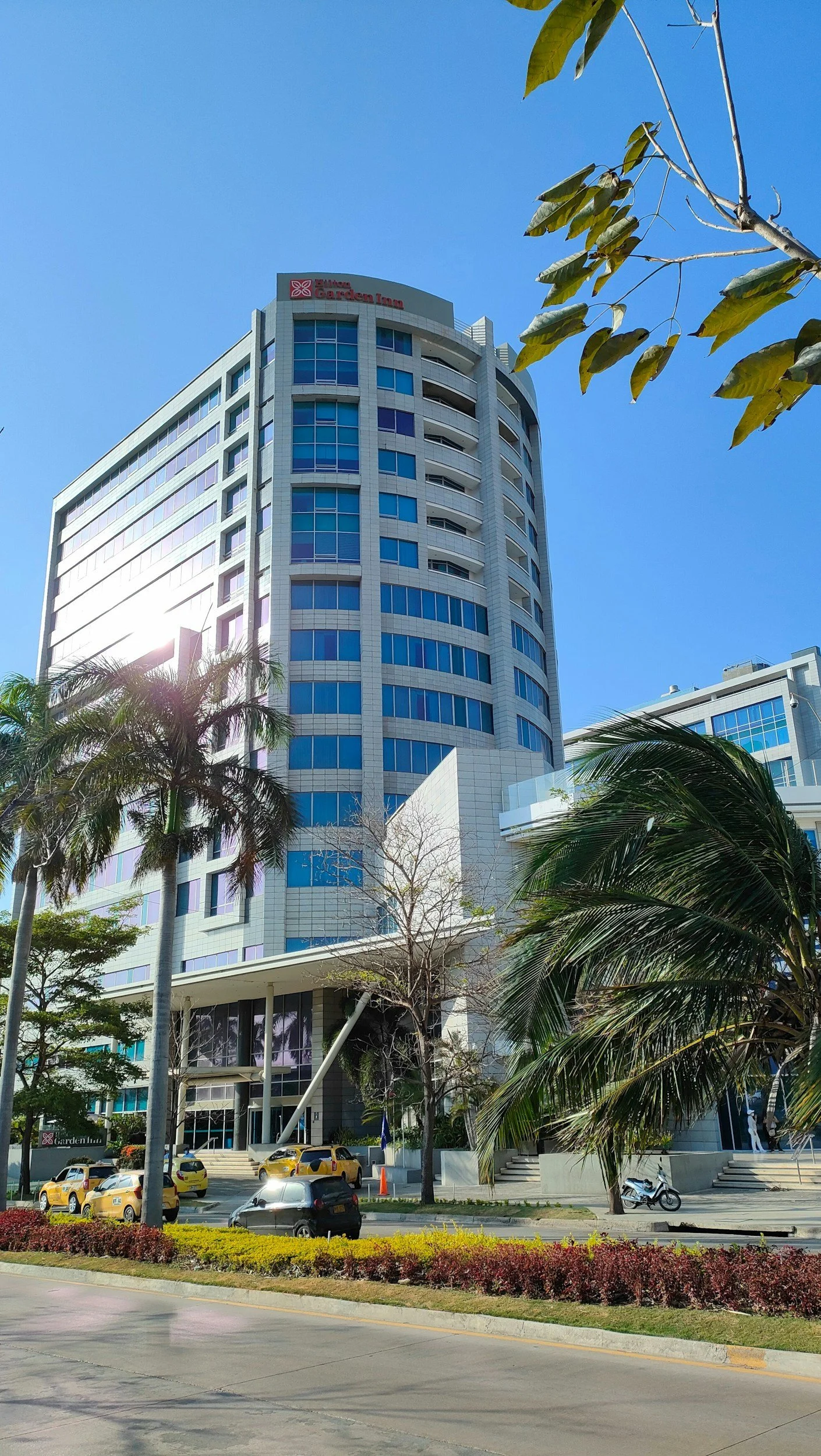 Tall modern hotel building with reflective blue windows, palm trees, and parked cars in front, under a clear blue sky.