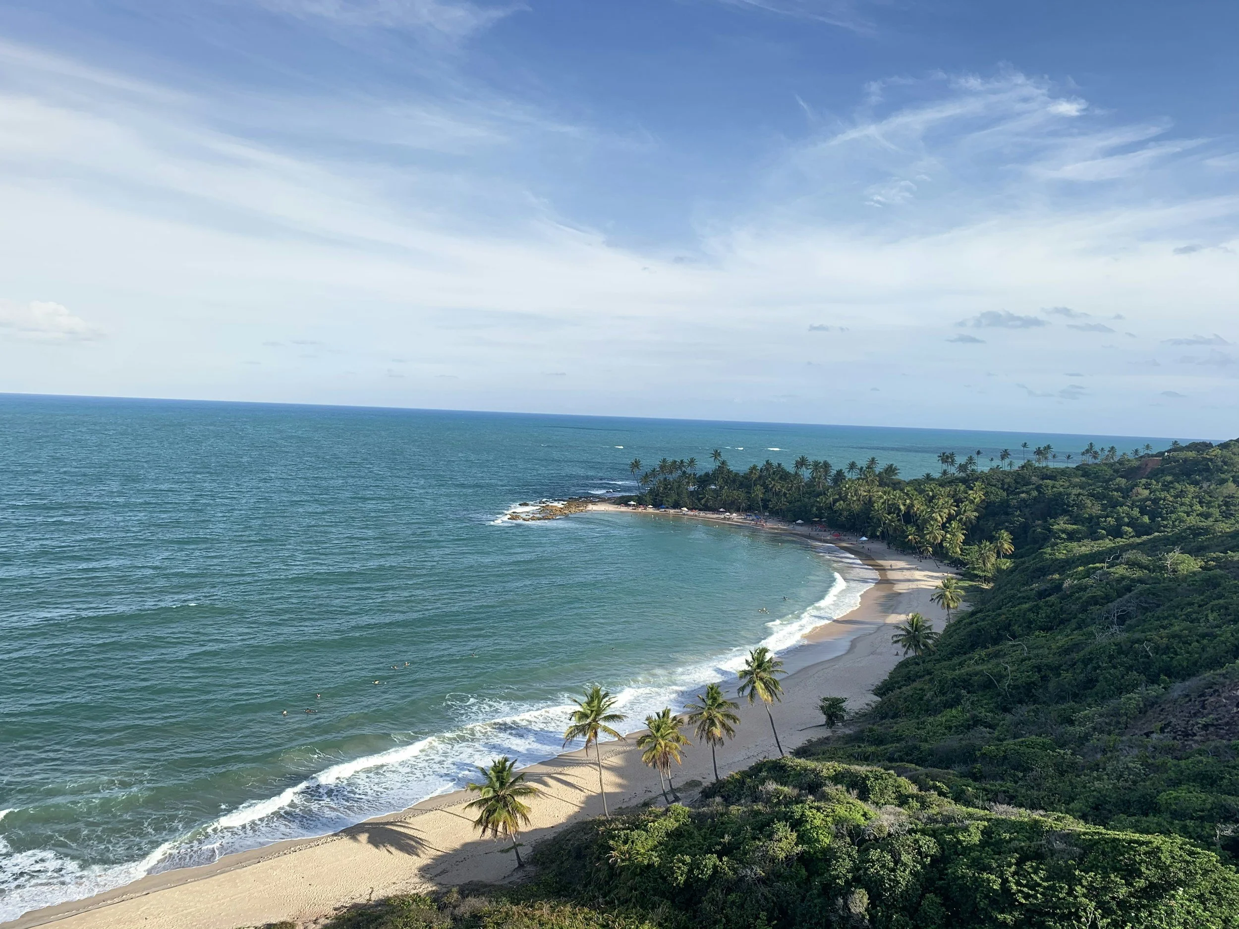 A scenic view of a tropical beach with golden sand, palm trees lining the shore, clear turquoise water, and lush green hills in the background under a partly cloudy sky.