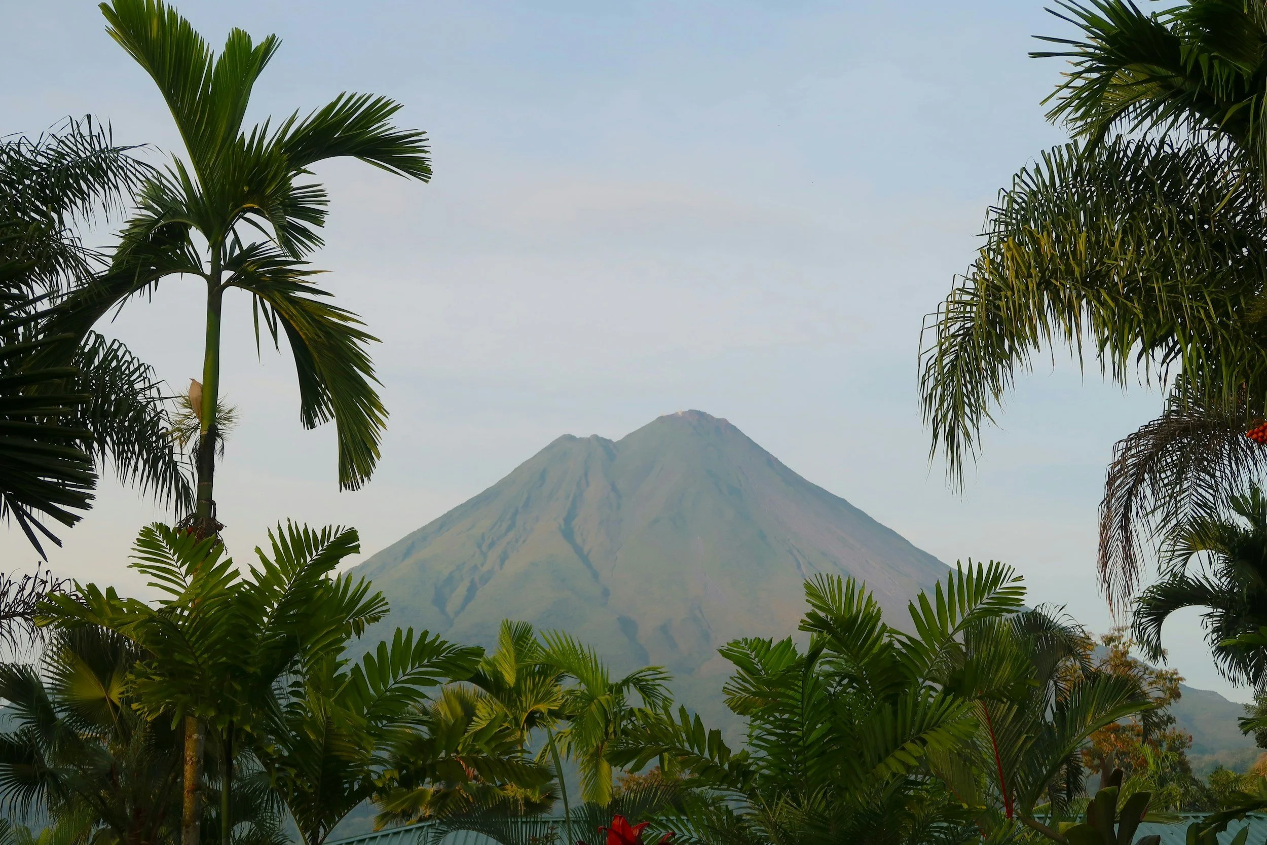 A view of a volcano with lush green tropical trees and plants in the foreground.