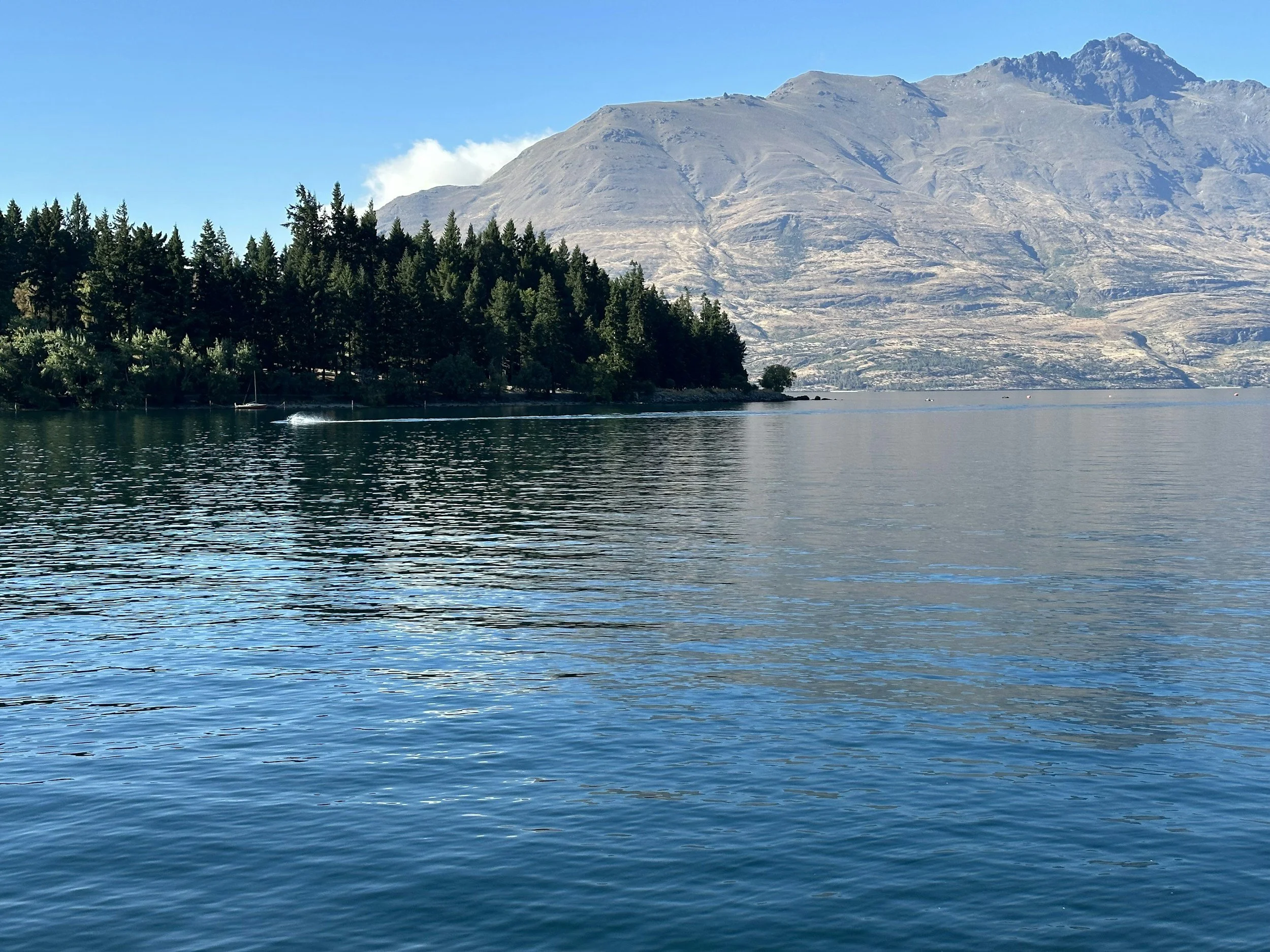 A lake with calm, blue waters reflecting the clear sky. In the background, there are green pine trees lining the shore and a large mountain with rocky, rugged terrain under the bright sunlight.