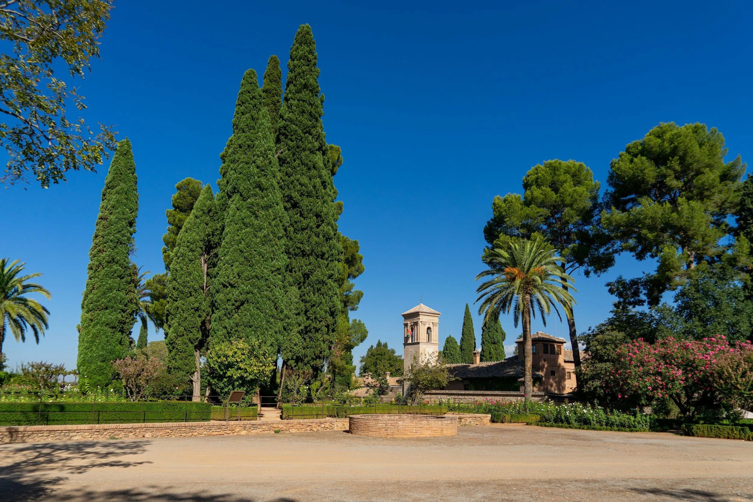 Sunlit garden scene with tall cypress trees, palm trees, and a clock tower under a clear blue sky.