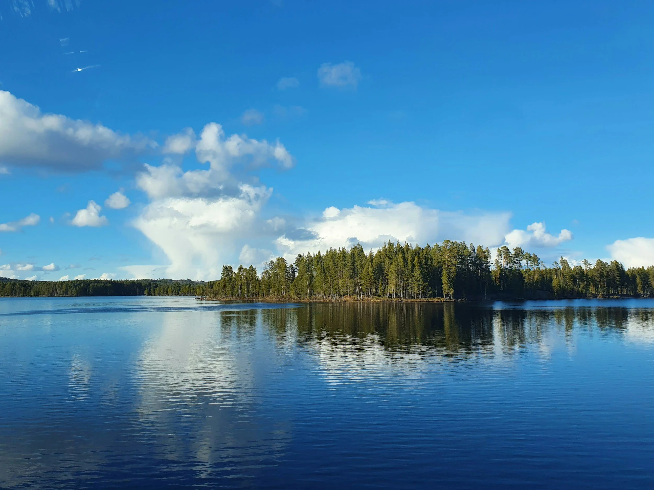 Paisaje de un lago con árboles y un cielo azul con nubes y avión en la distancia.