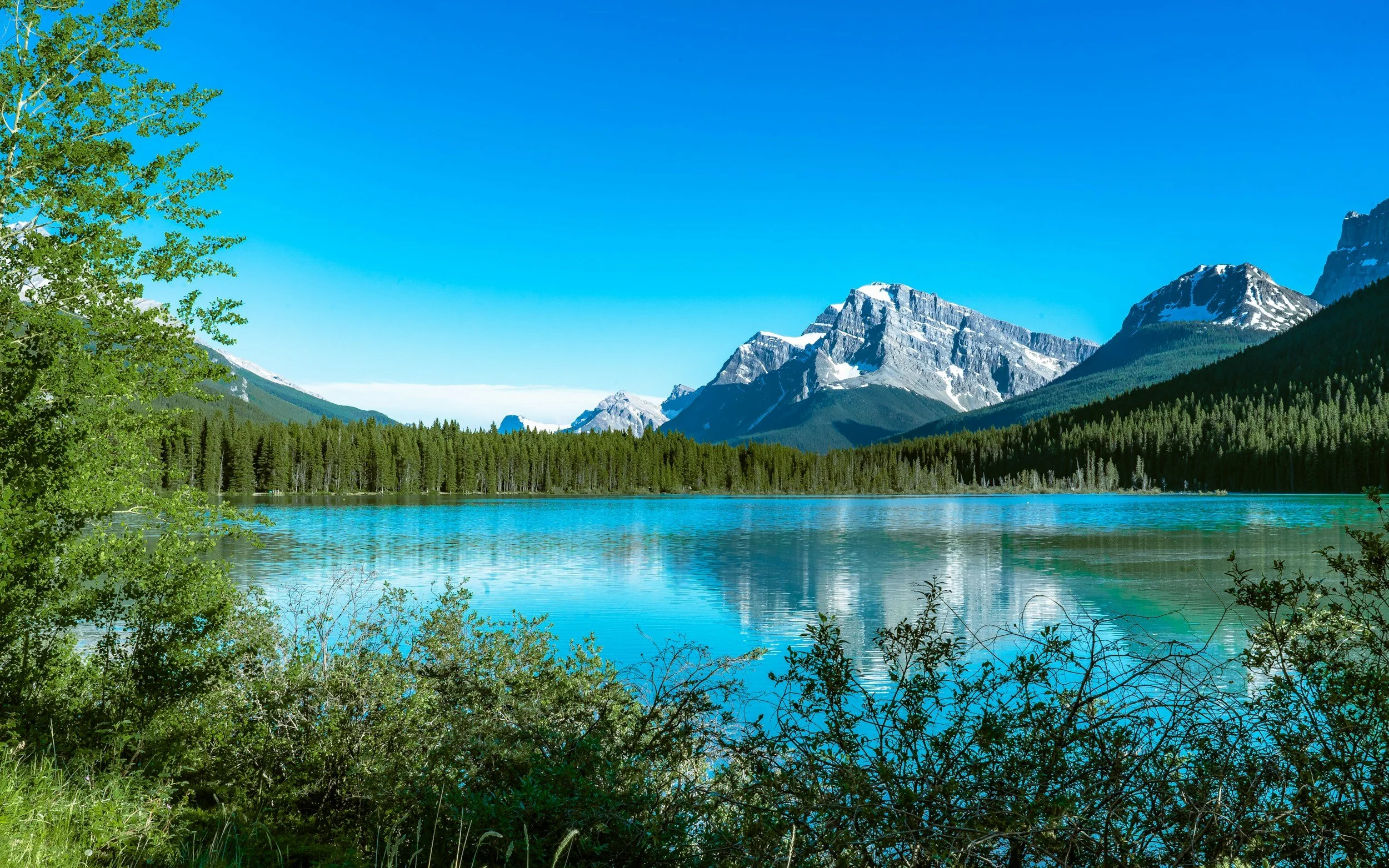 Lago rodeado de árboles y montañas nevadas bajo un cielo azul claro.