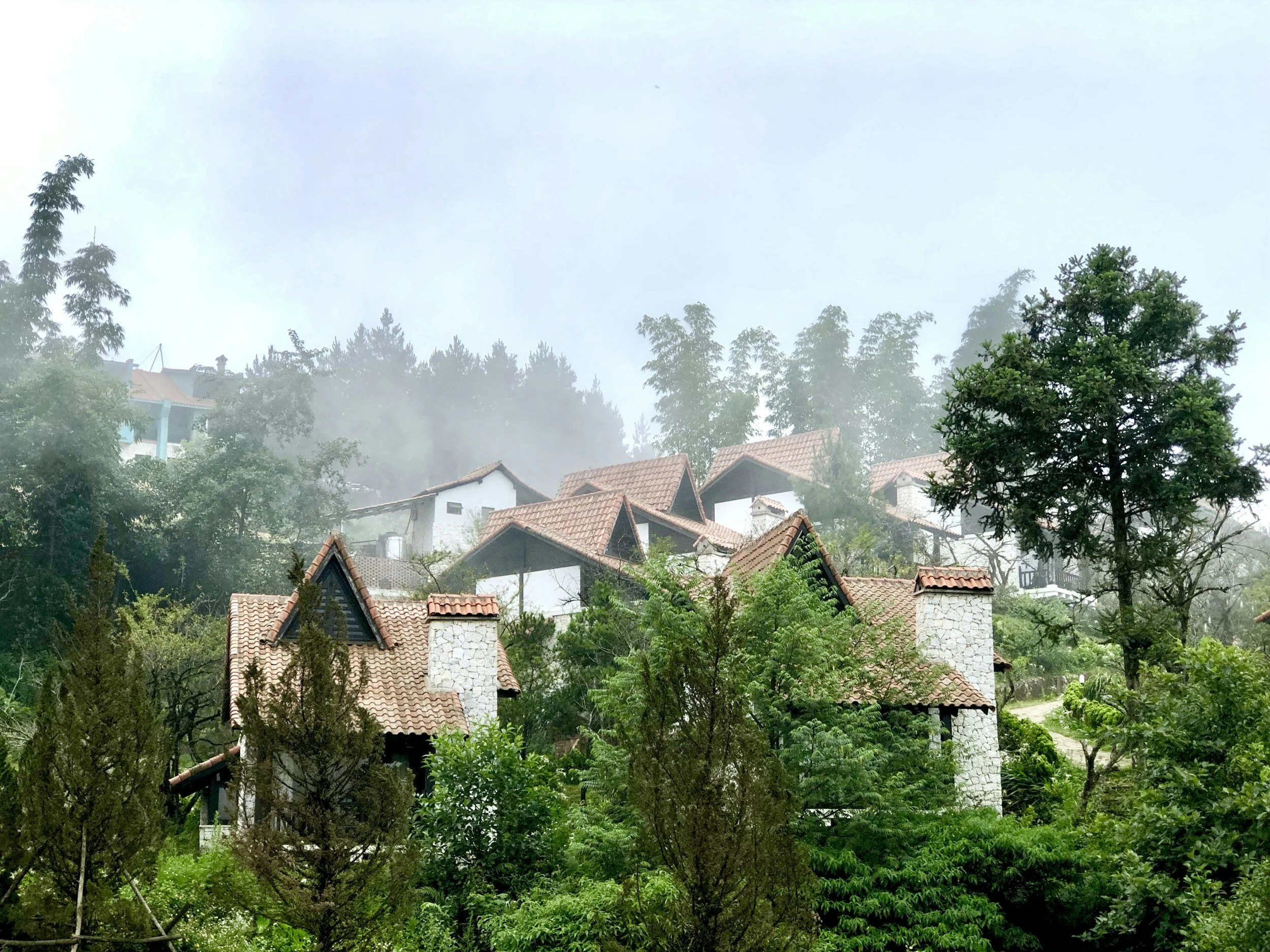 Casas con techos de tejas en una ladera rodeadas de árboles y vegetación, con niebla en el fondo.