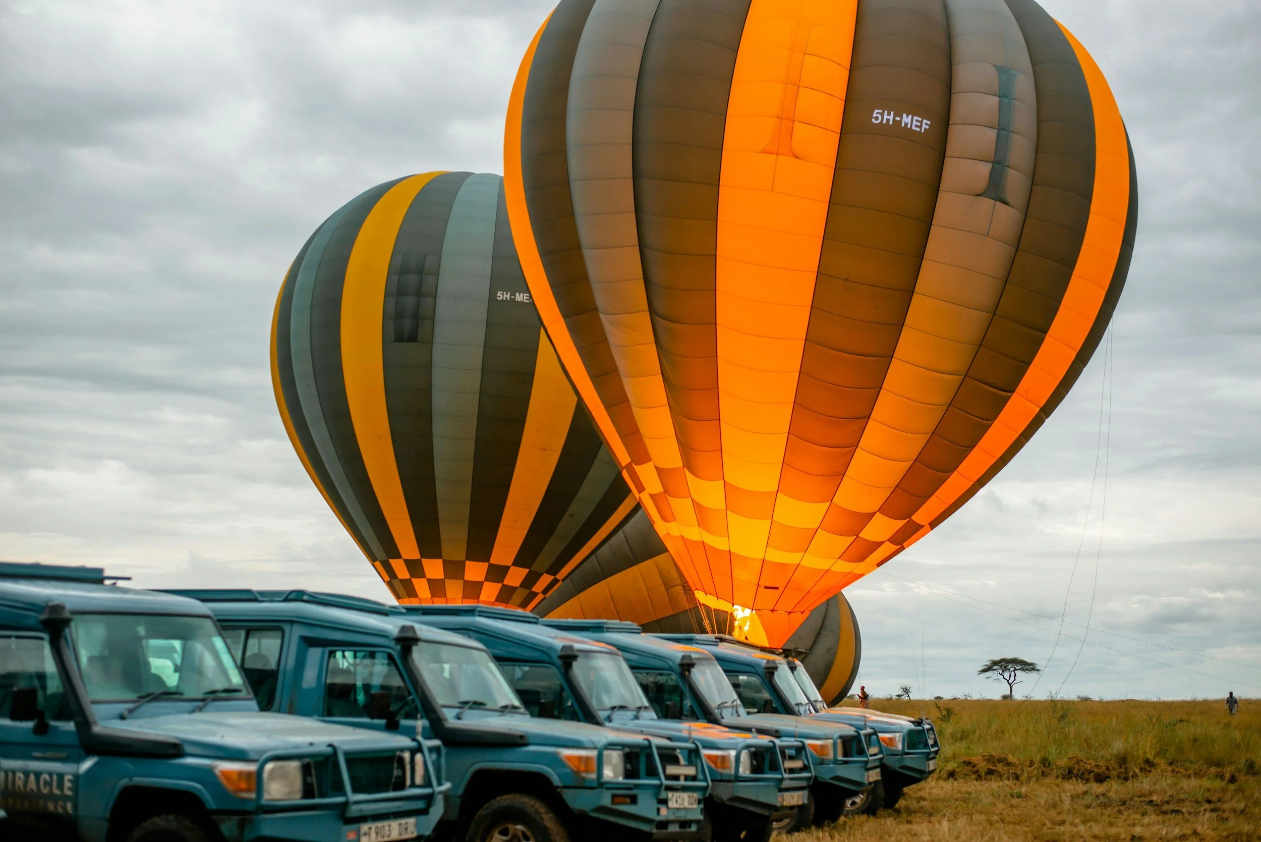 Globos aerostáticos de colores naranjas, gris y negros en el aire con vehículos de safari en tierra, en un paisaje con césped y un árbol en el fondo, cielo nublado.