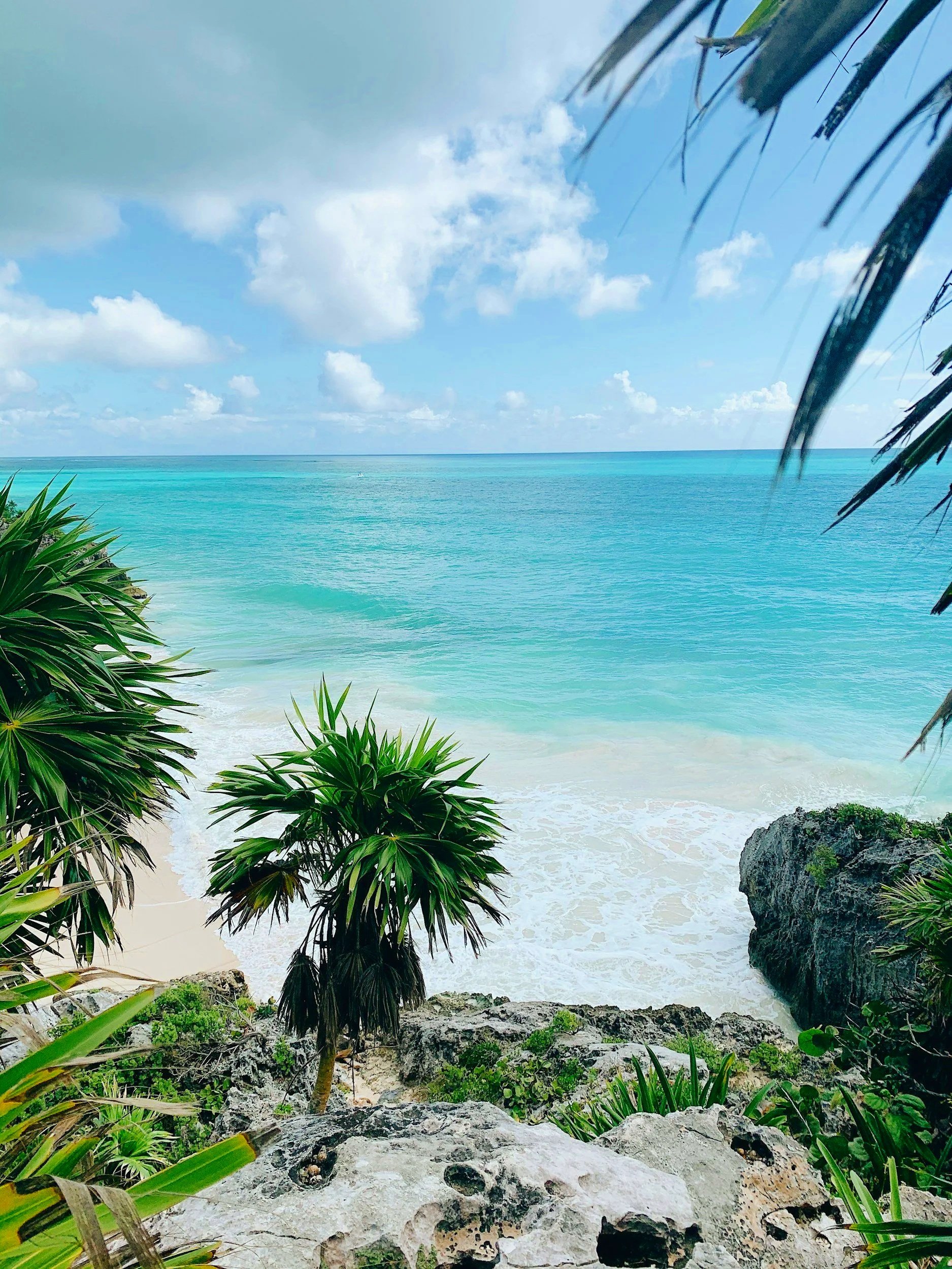 Playa tropical con agua azul y vegetación verde en primer plano