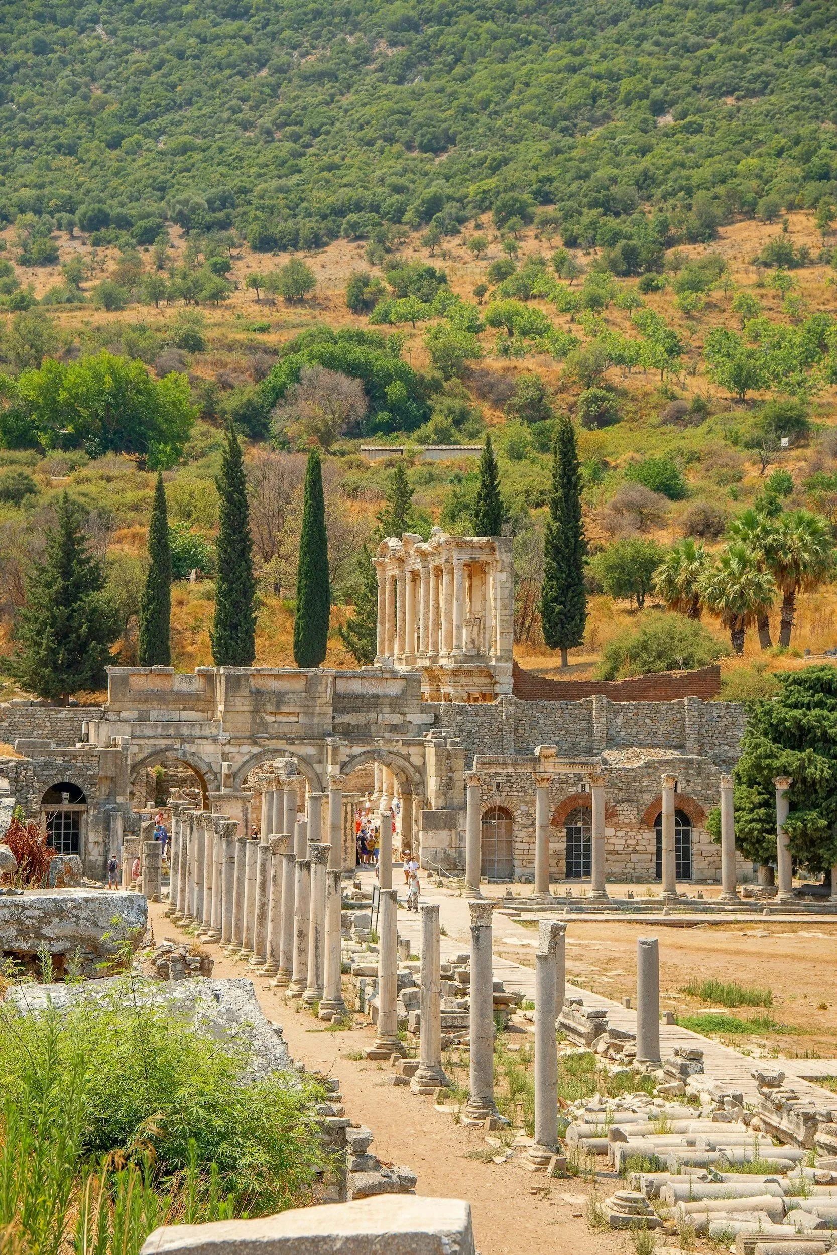 Ruinas antiguas en un sitio arqueológico, con columnas y estructuras de piedra, rodeadas de vegetación y árboles en un paisaje montañoso.