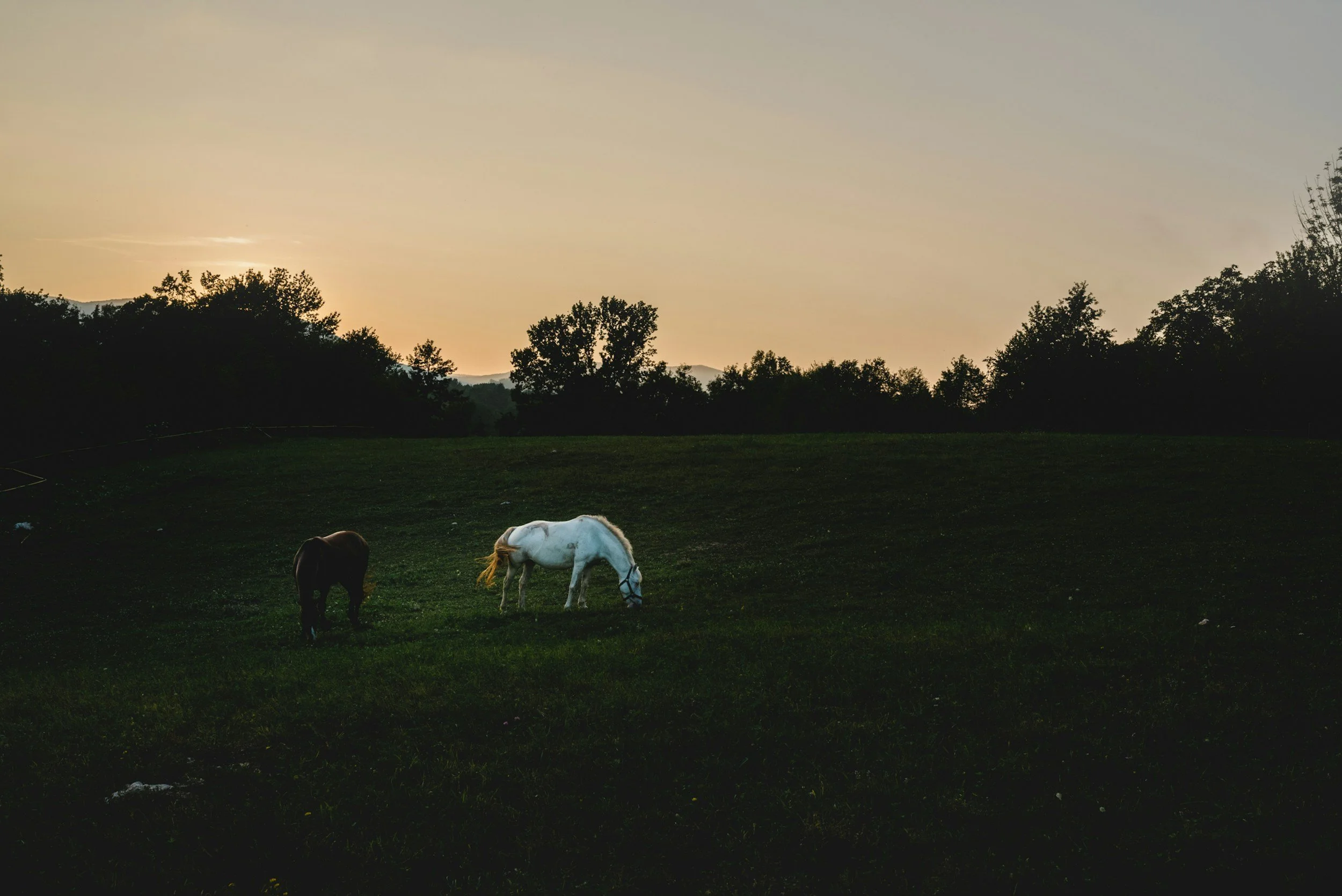 unsplash-image-XZPAv9WjTGI.jpg