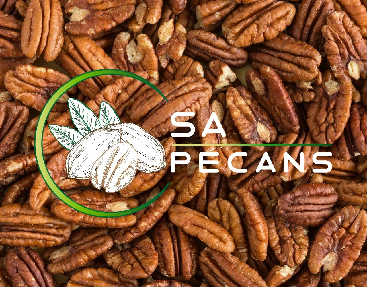 Close-up of roasted pecans with text overlay 'SA PECANS' and a graphic illustration of pecans and leaves.