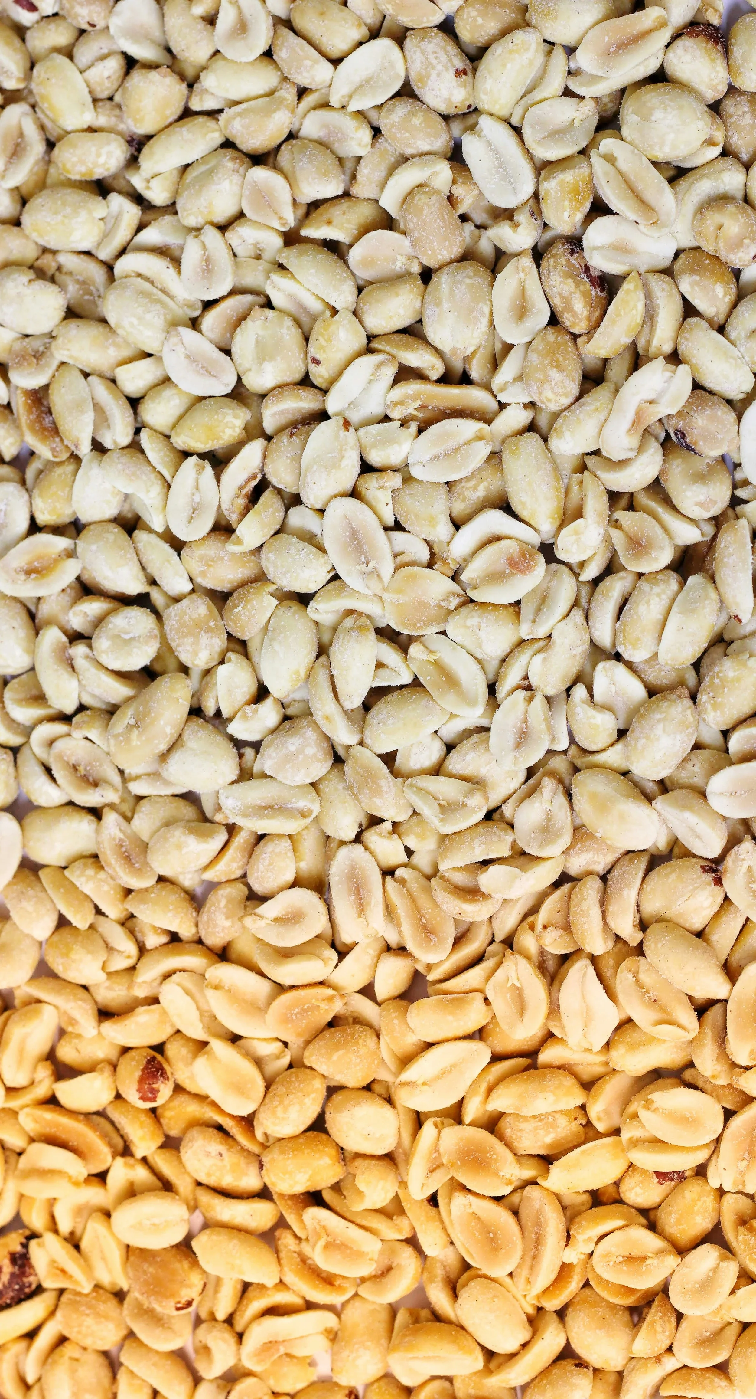 Close-up of roasted peanuts evenly spread in three vertical sections.