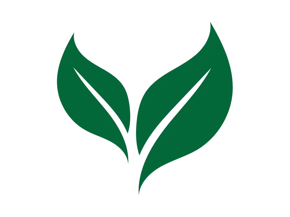 Ongoing seed trials at SA Peanuts
