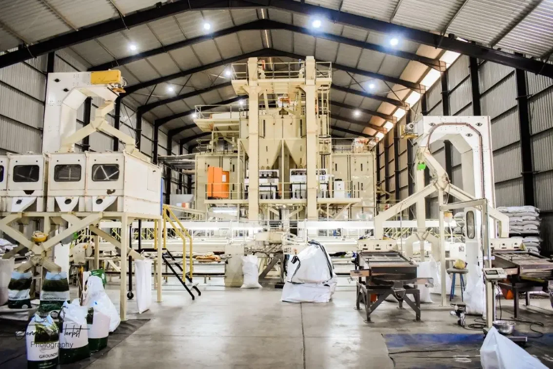 Inside SA Peanuts peanut processing plant with advanced sorting and packaging equipment