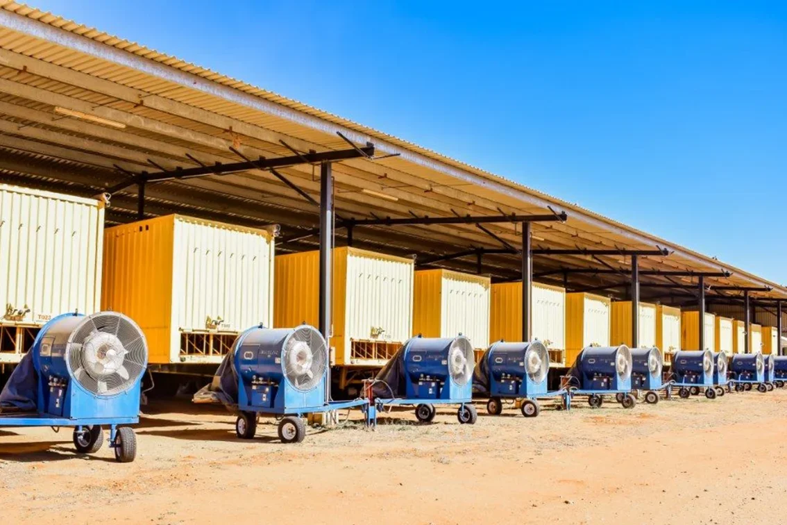 High-capacity peanut drying and bulk storage at SA Peanuts