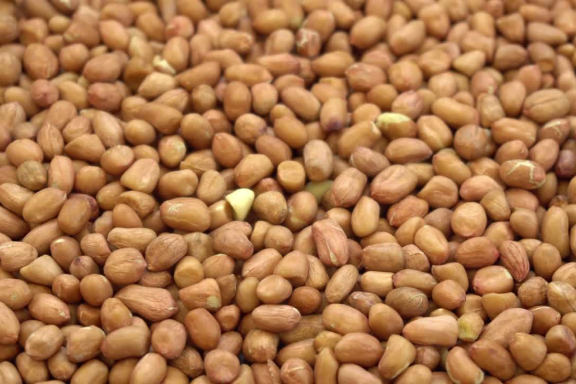 Peanut website video.png