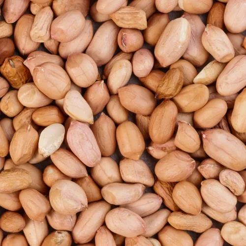 Close-up of raw peanuts with skins.