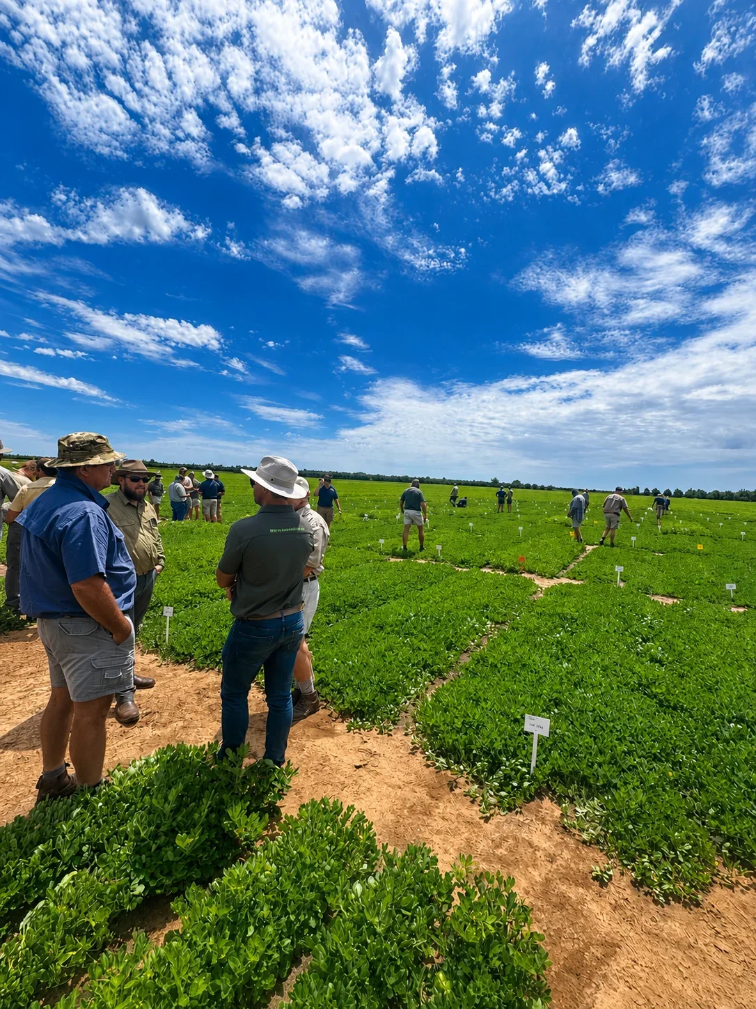 Group of people standing and talking in a green field under a partly cloudy sky, with rows of plants and small labeled markers in the field.