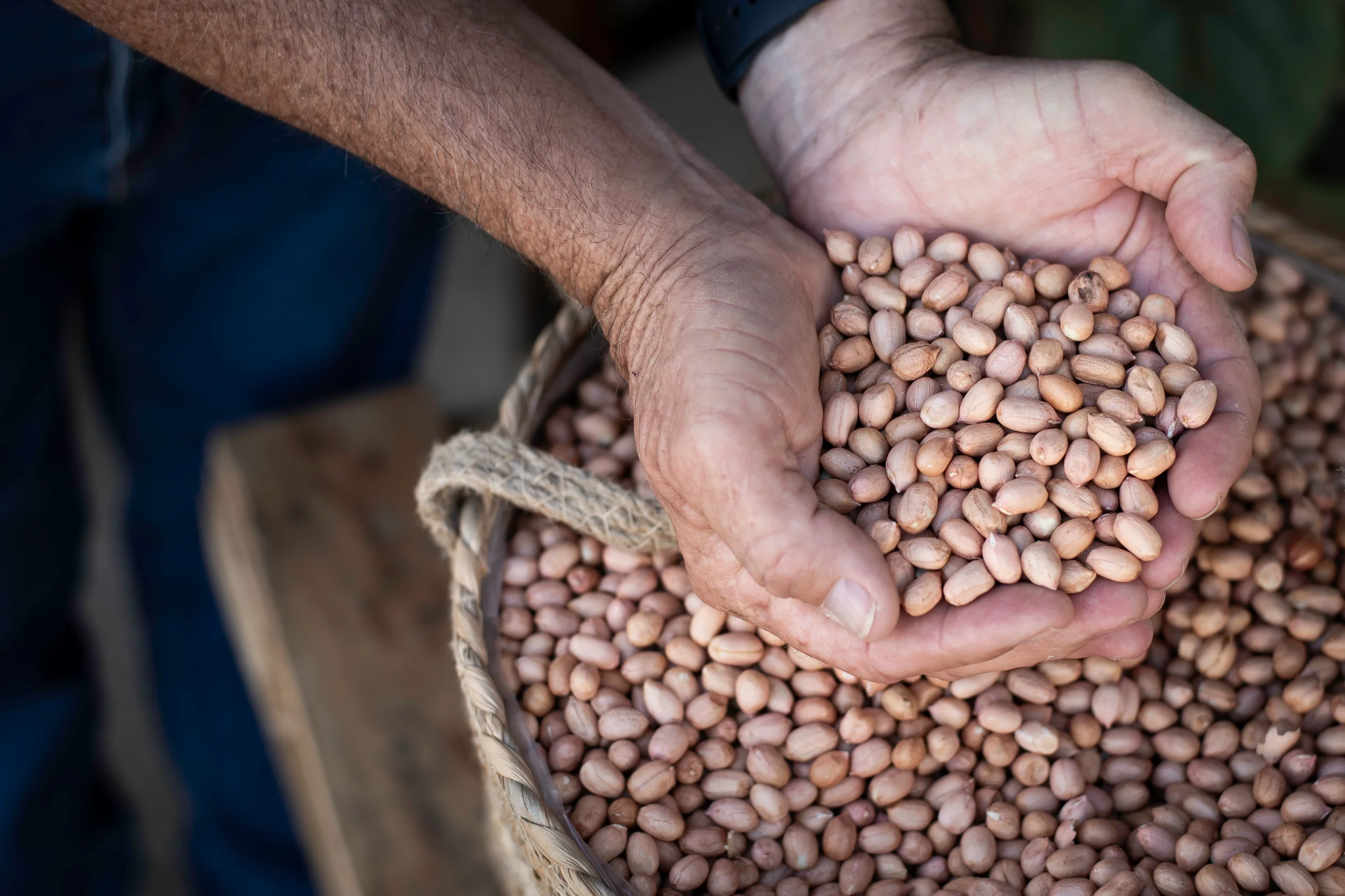 Peanuts in hand