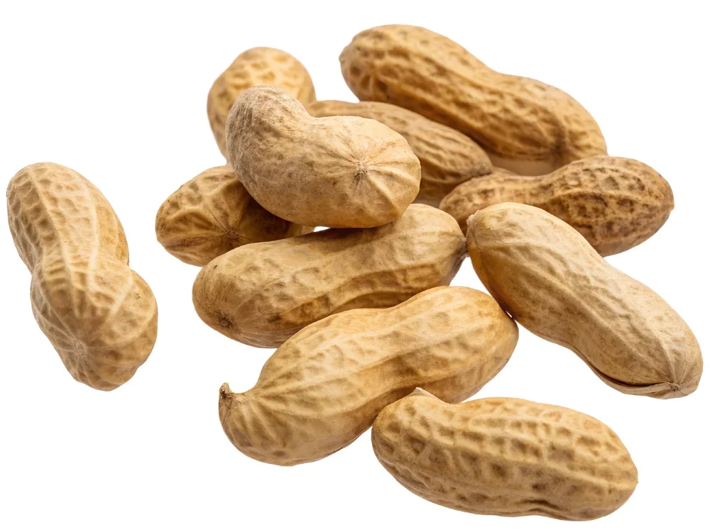 A group of unshelled peanuts on a white background.