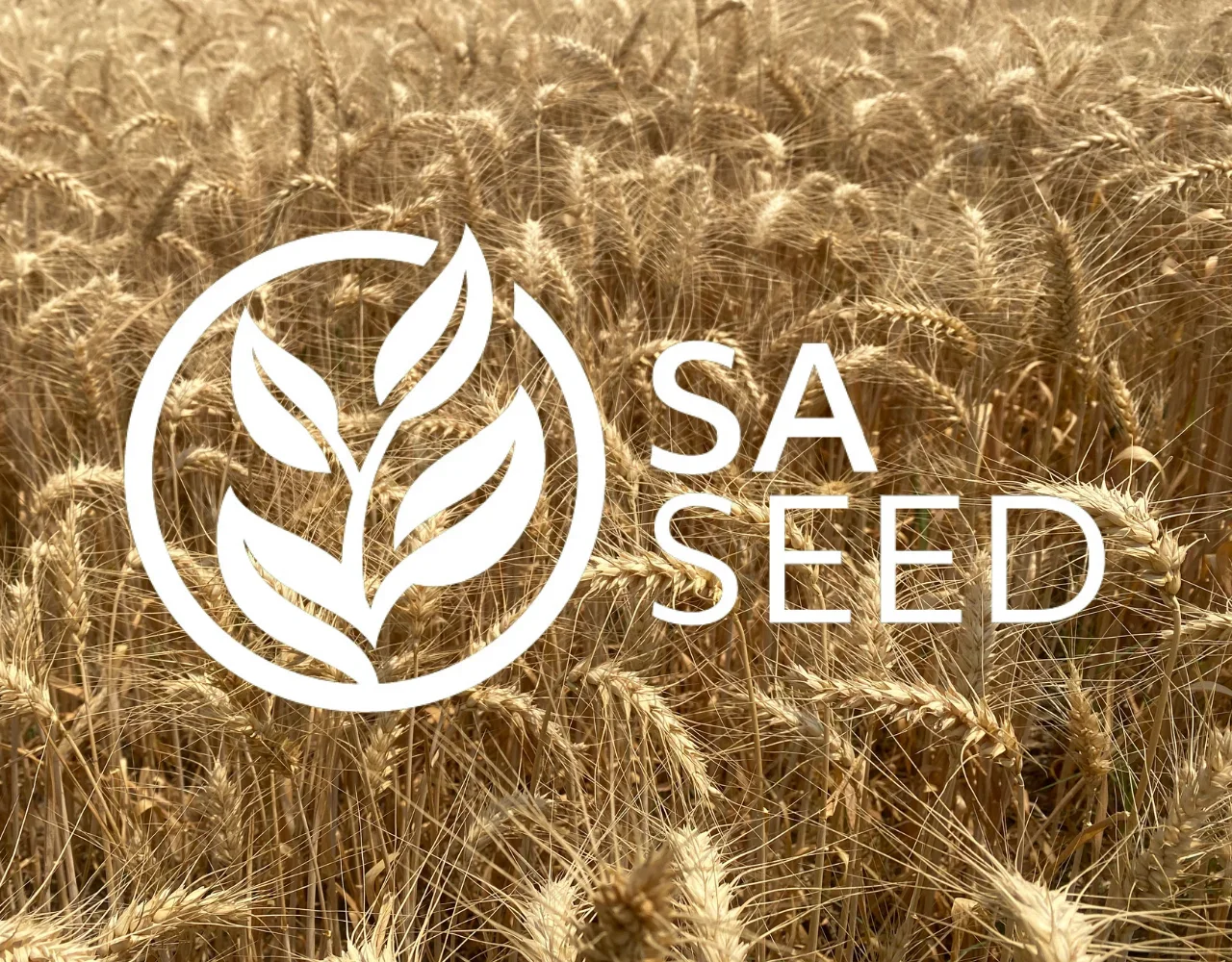 A field of golden wheat with a white circular logo featuring a leaf pattern and the text 'SA SEED'