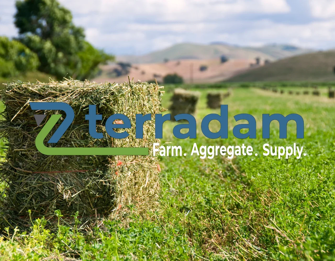 Hay bales in a green field with hills and trees in the background, overlaid with "Terradam Farm. Aggregate. Supply."