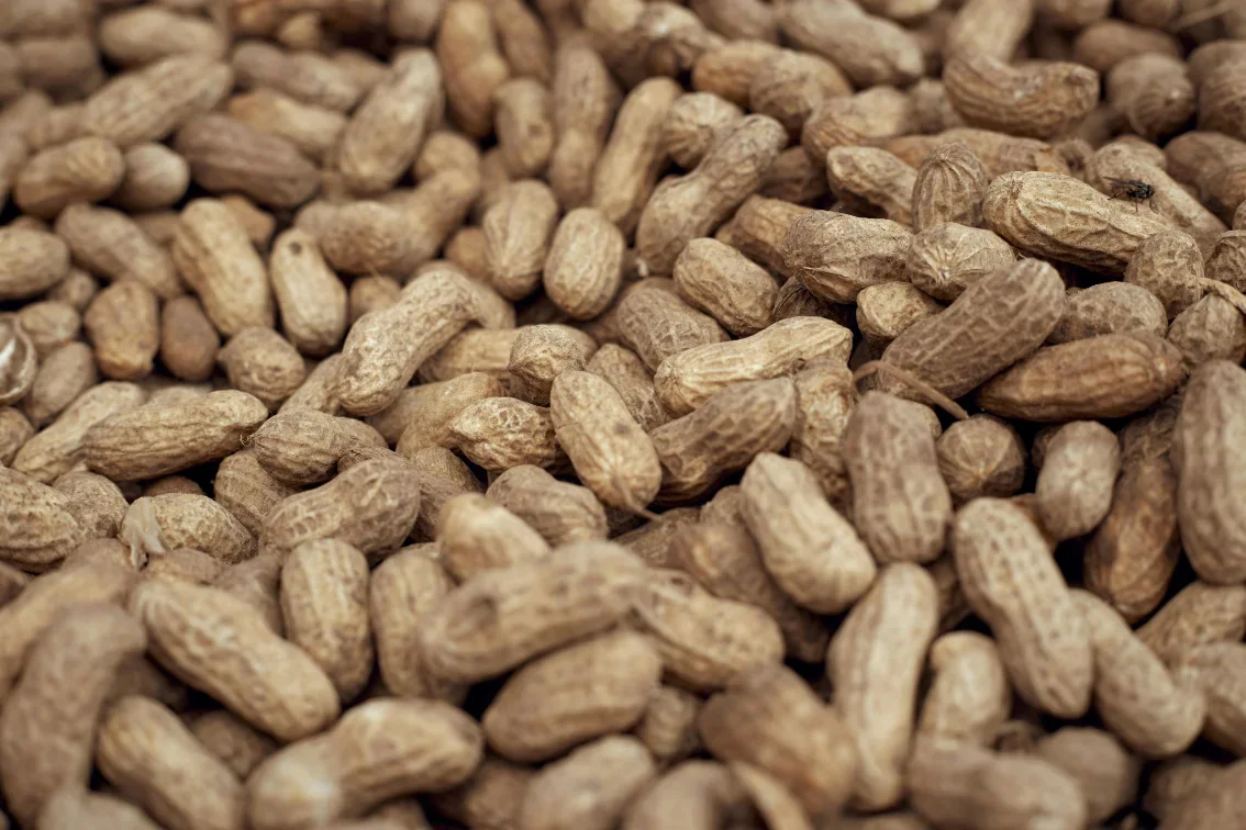Peanut cleaning and foreign object removal system at SA Peanuts