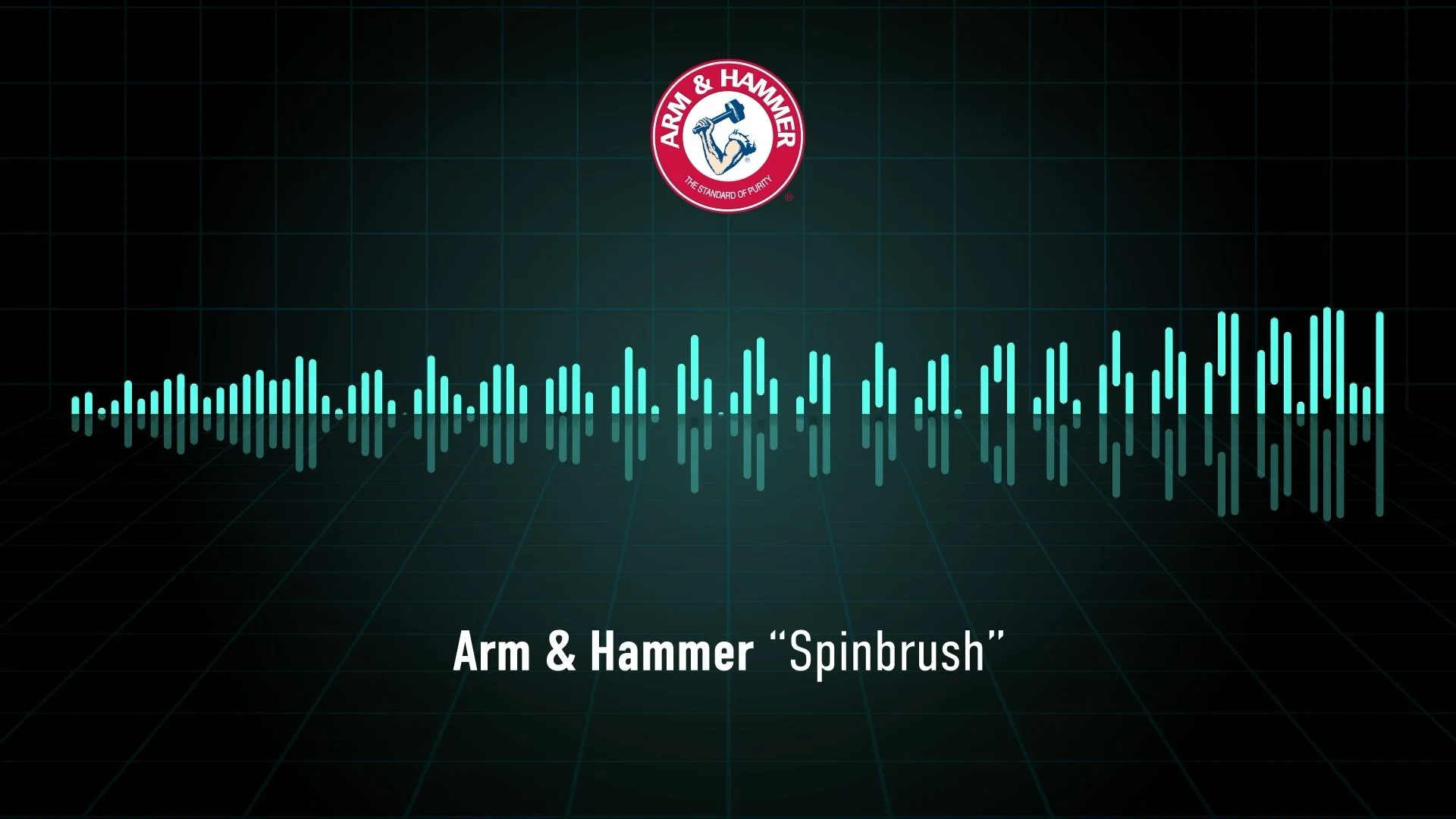 Spinbrush
