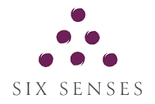 Six purple circles arranged in a pyramid shape above the text 'Six Senses'.