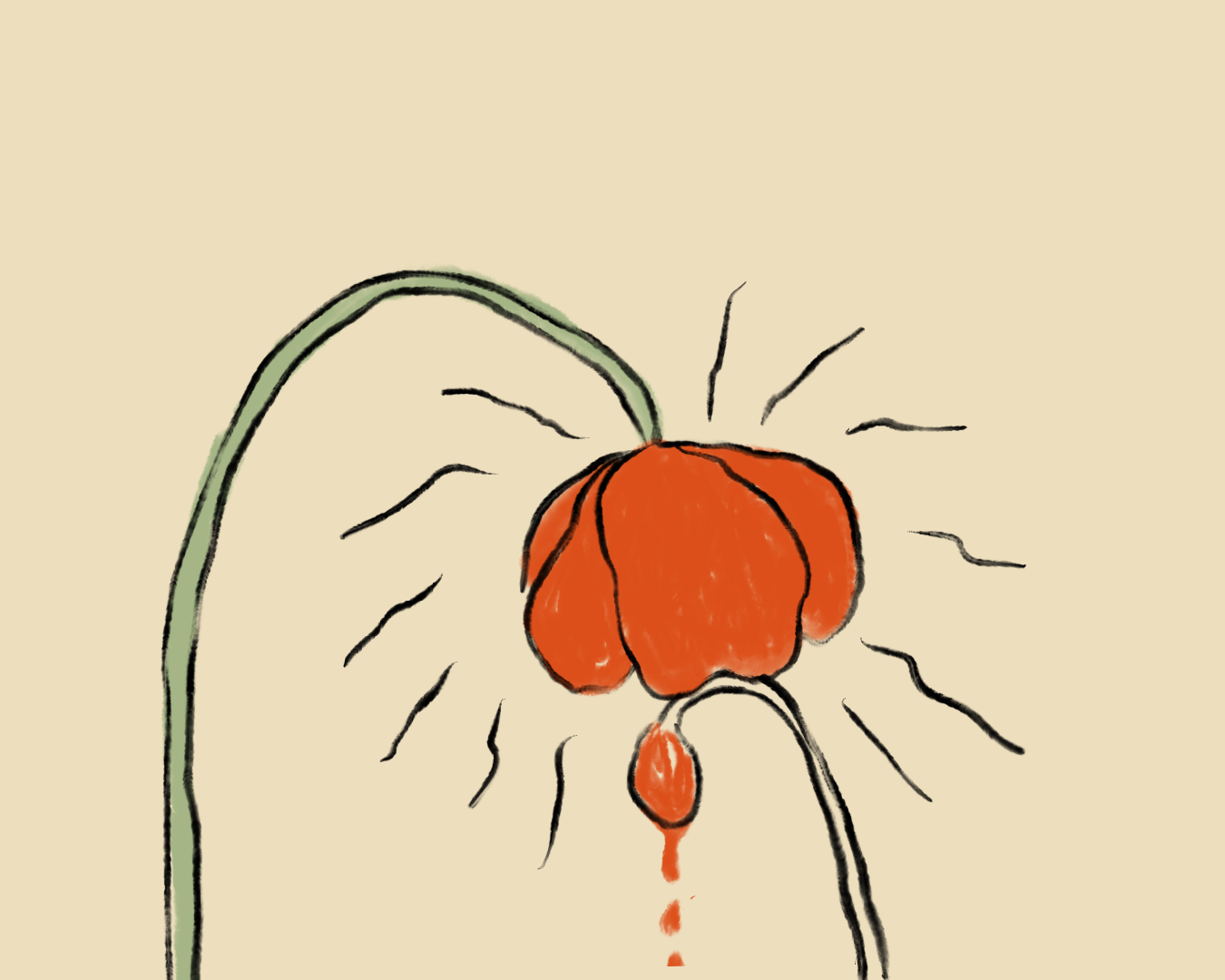 IMG_0049.PNG