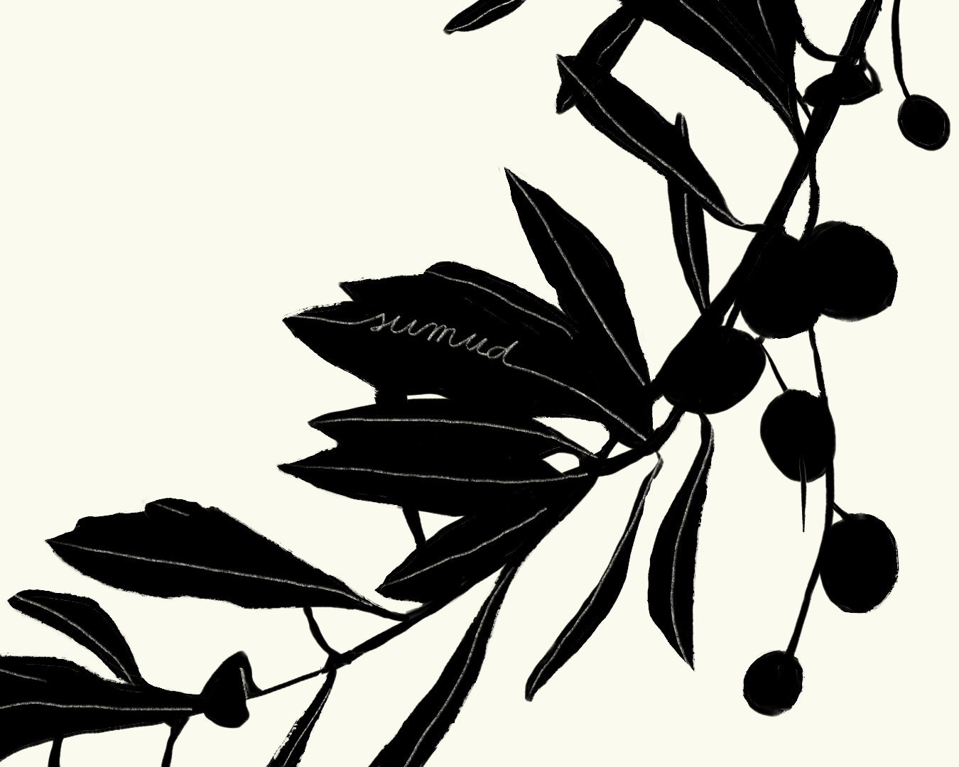 IMG_0042.PNG