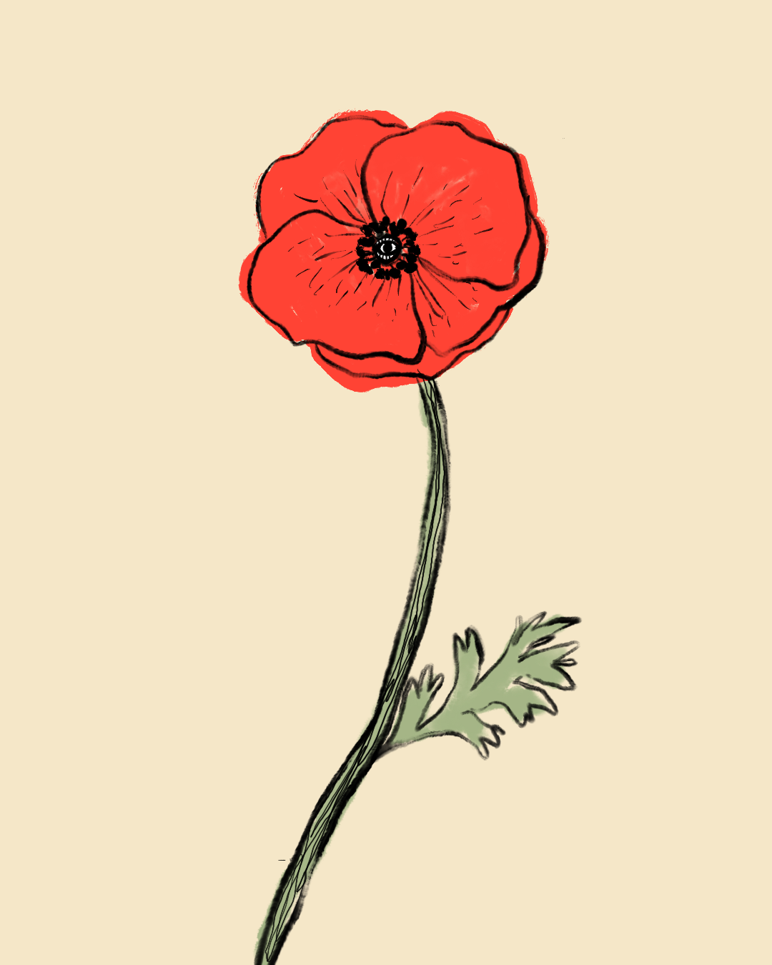 IMG_0058.PNG