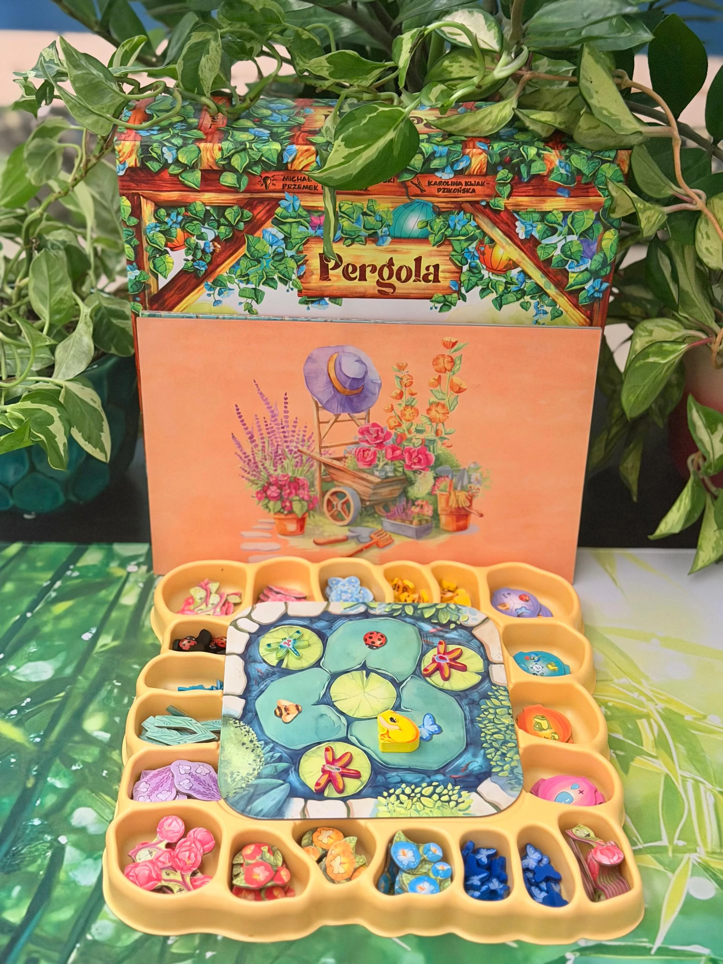 WhatsApp Image 2026-02-11 at 13.57.16 (1).jpeg