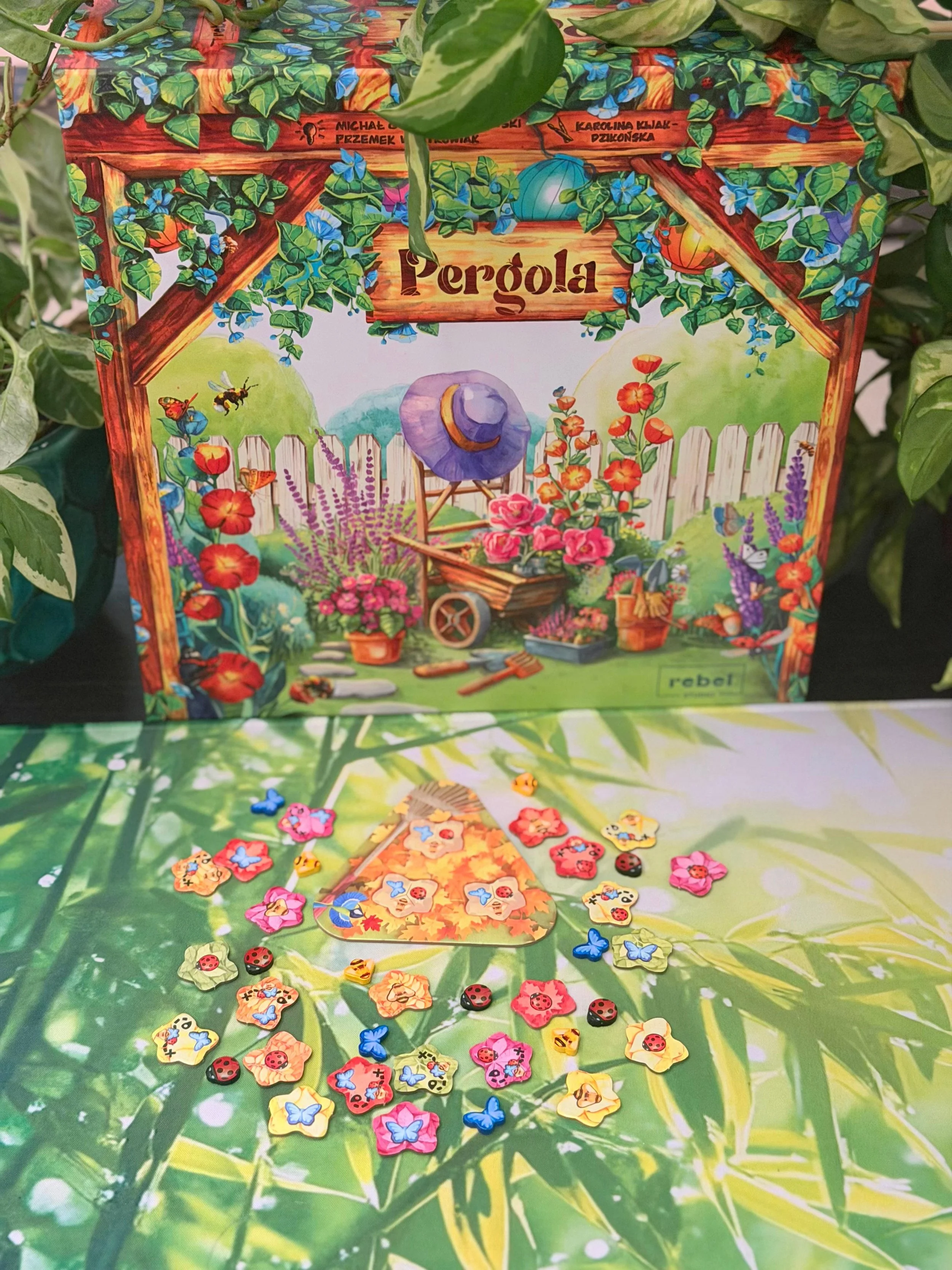 WhatsApp Image 2026-02-11 at 13.57.16 (2).jpeg