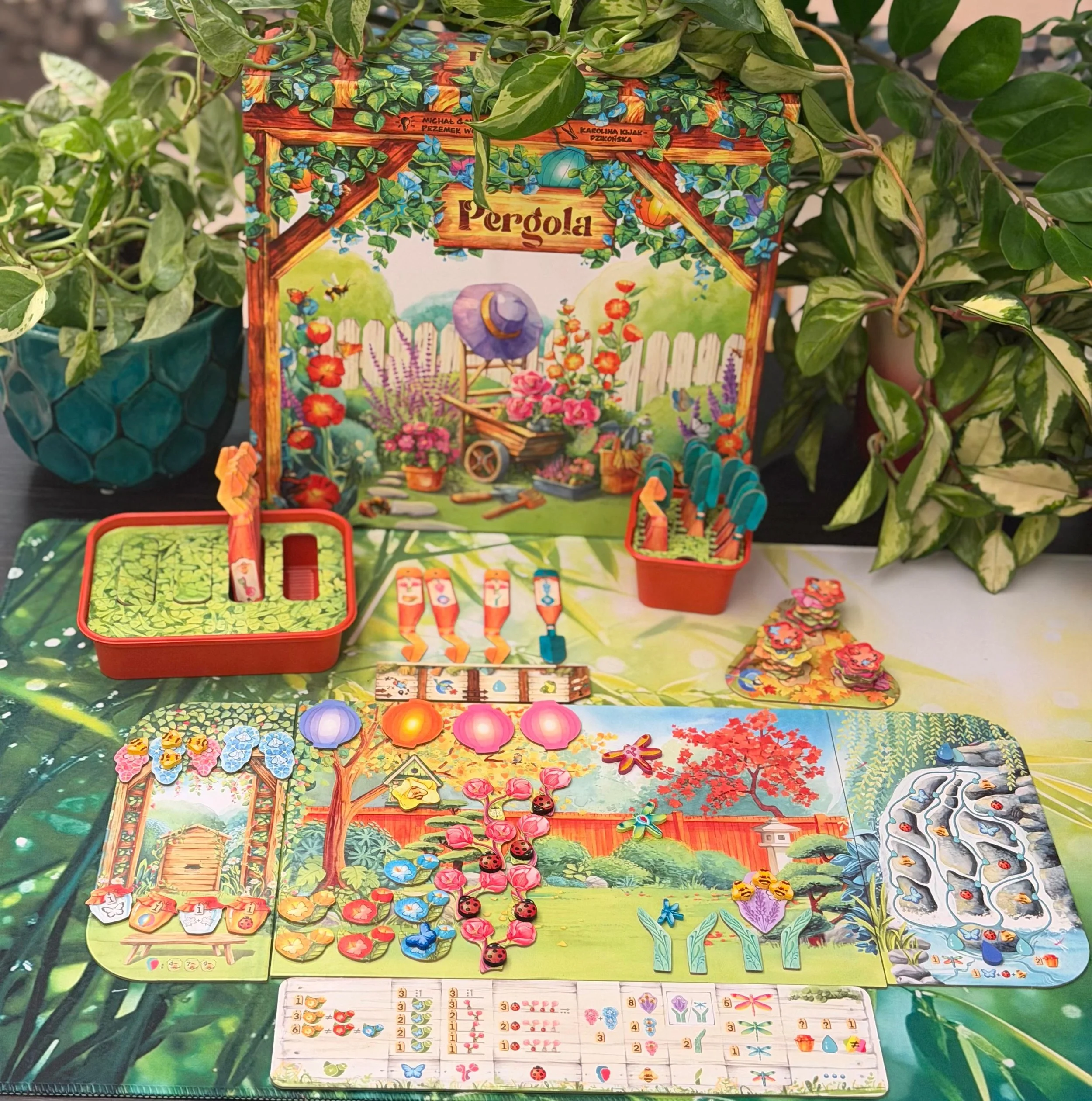 WhatsApp Image 2026-02-11 at 13.57.16.jpeg