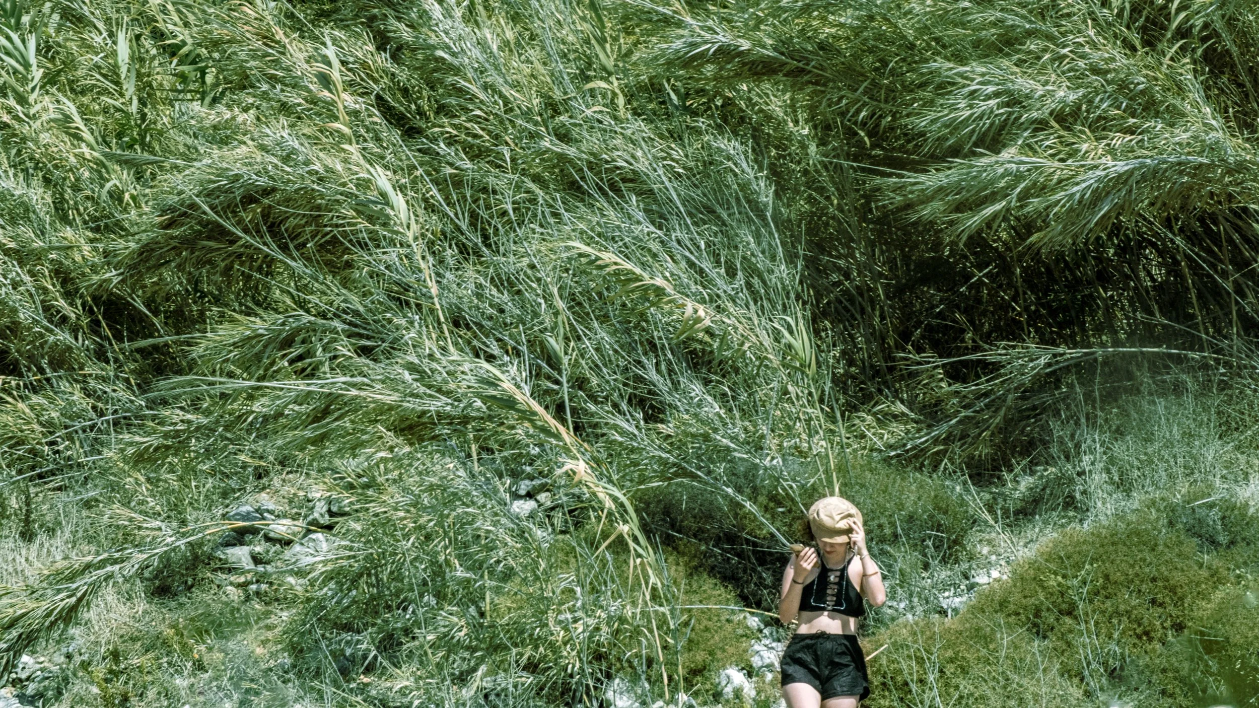 A person wearing a tan hat, black crop top, and black shorts standing in a lush, green, tropical setting with tall grass and plants, holding their hat with one hand.