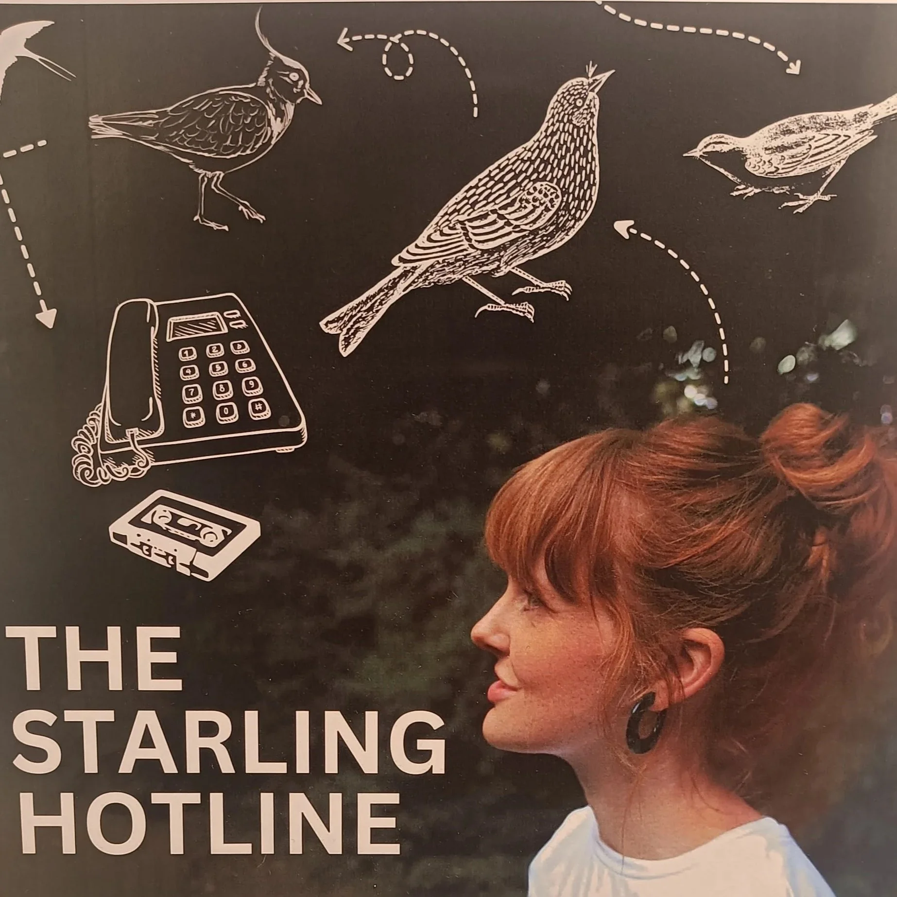 Starling Hotline Jess Morgan