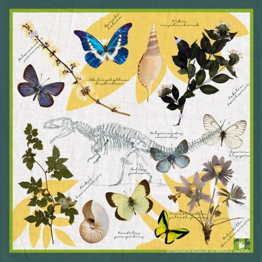 Seodaemun Natural History Museum Merchandise (2022)
