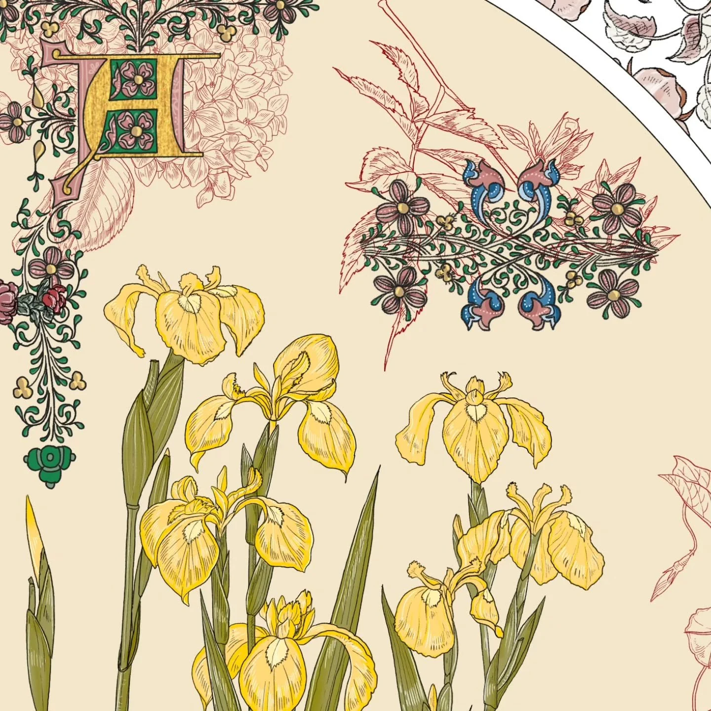 노랑꽃창포가 근처에 피어서 그려보았습니다. 짧은 꽃창포 스터디.

I saw some acornus flowers nearby, and decided to have a little study.